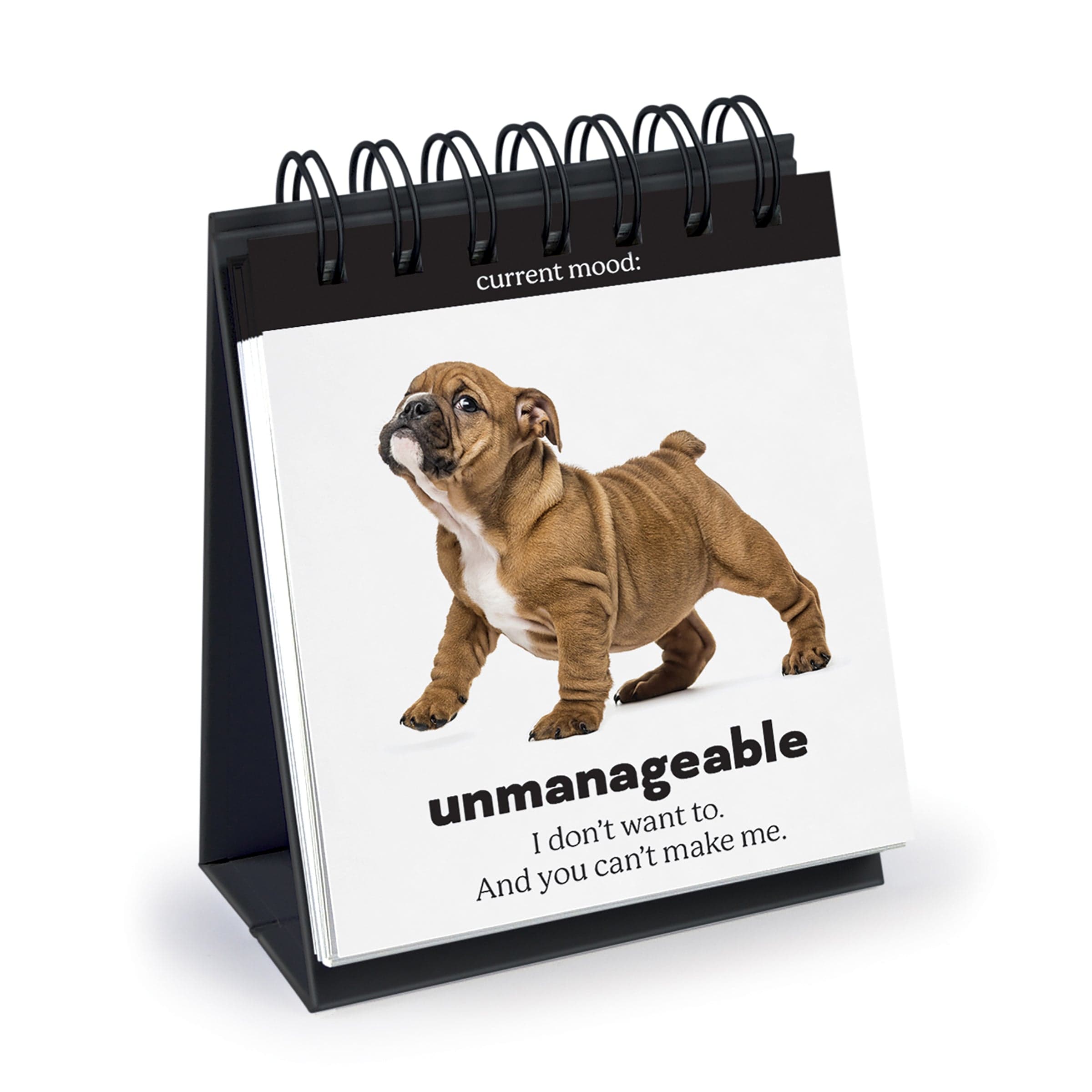 Daily Doggo Desktop Flipbook | Fred