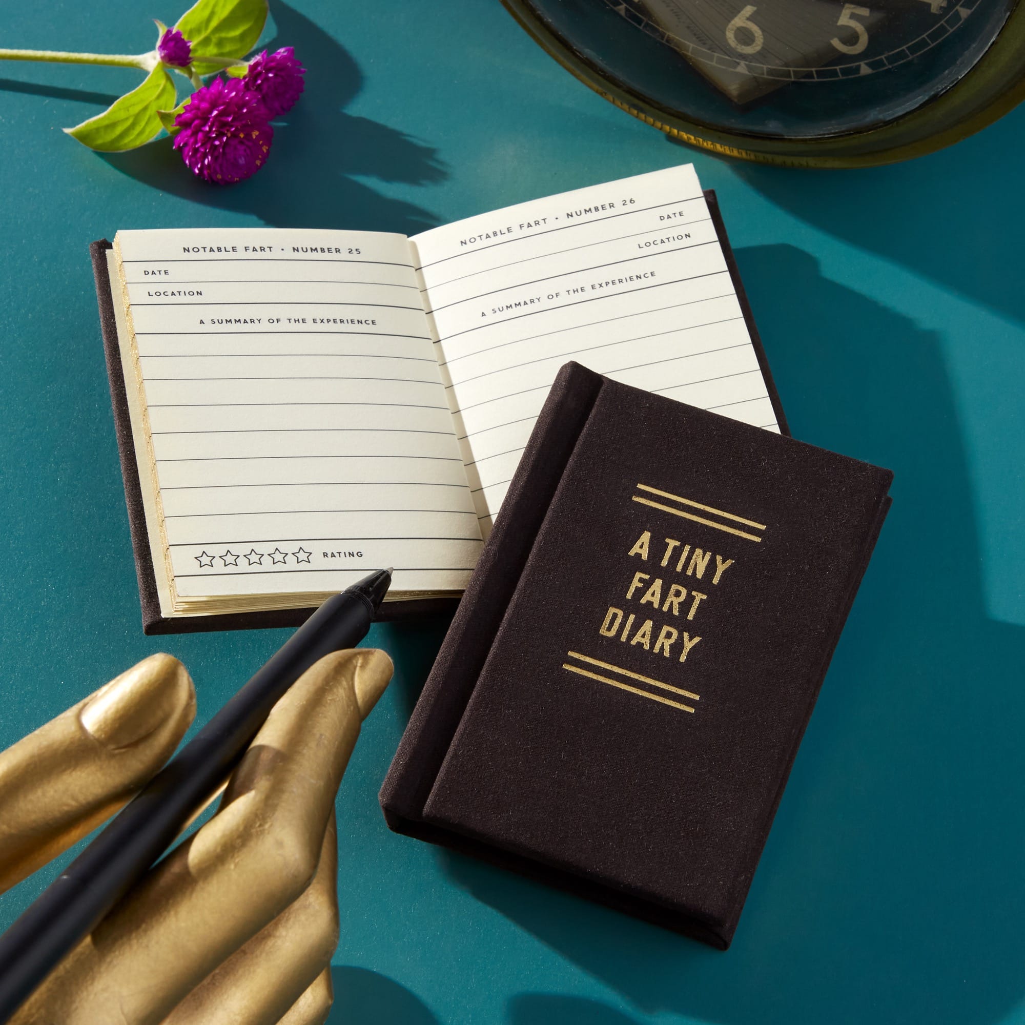 A Tiny Fart Diary | Brass Monkey