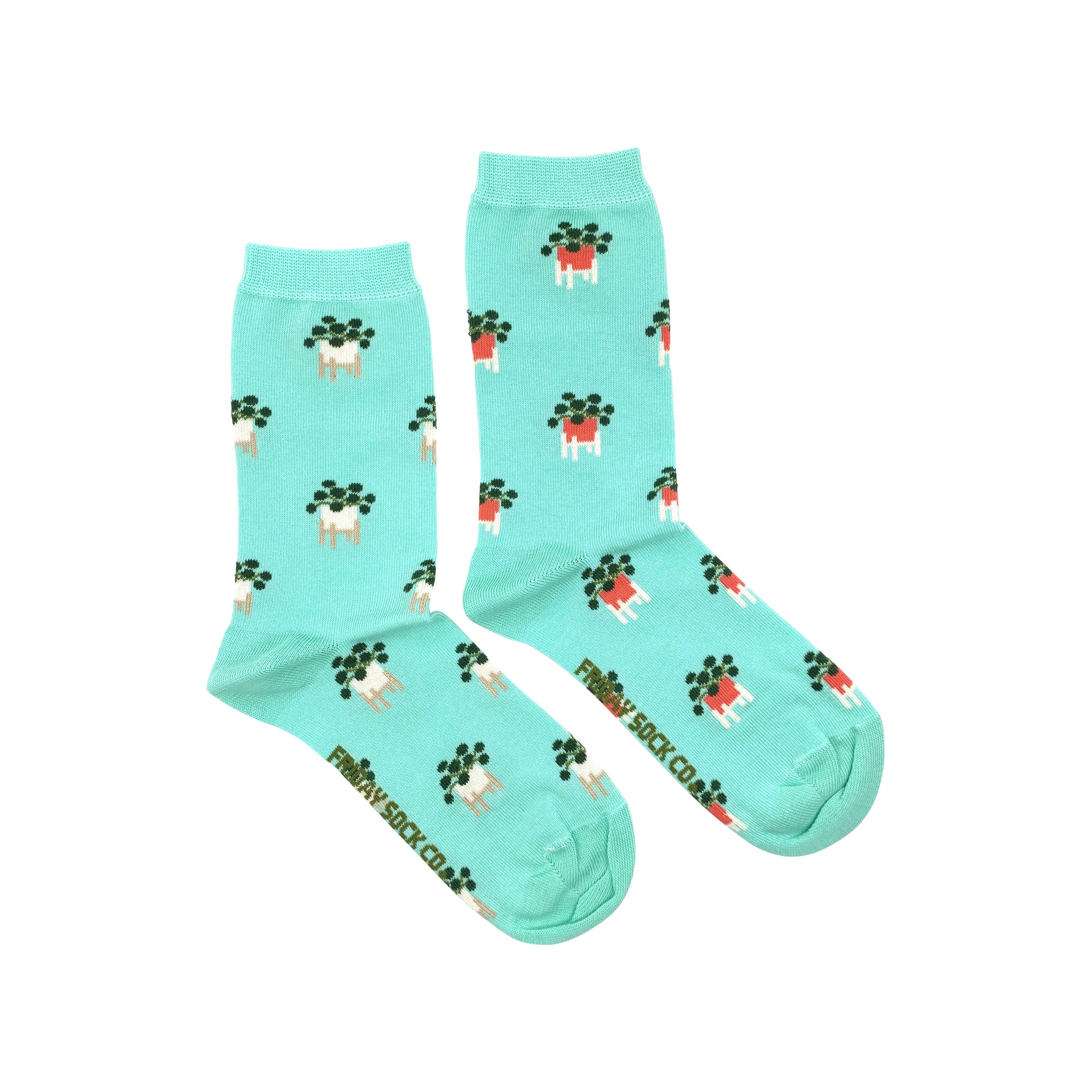 Friday Sock Co. | Women's Socks | Pilea Socks Friday Sock Co. - Oscar & Libby's