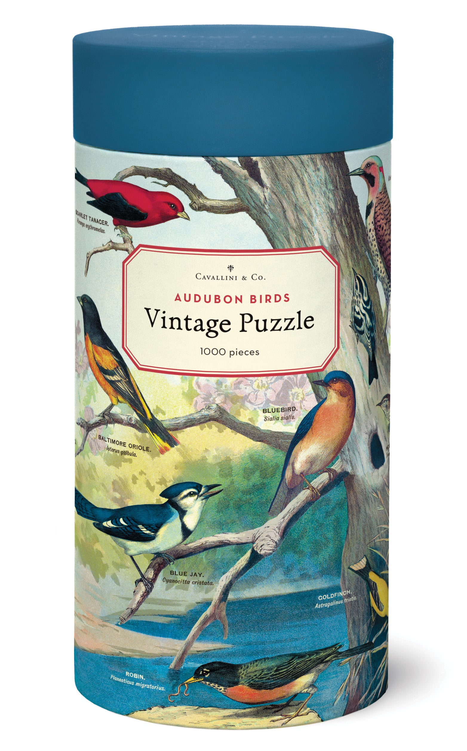 Cavallini & Co | Audubon Birds 1000 piece puzzle Cavallini & Co - Oscar & Libby's
