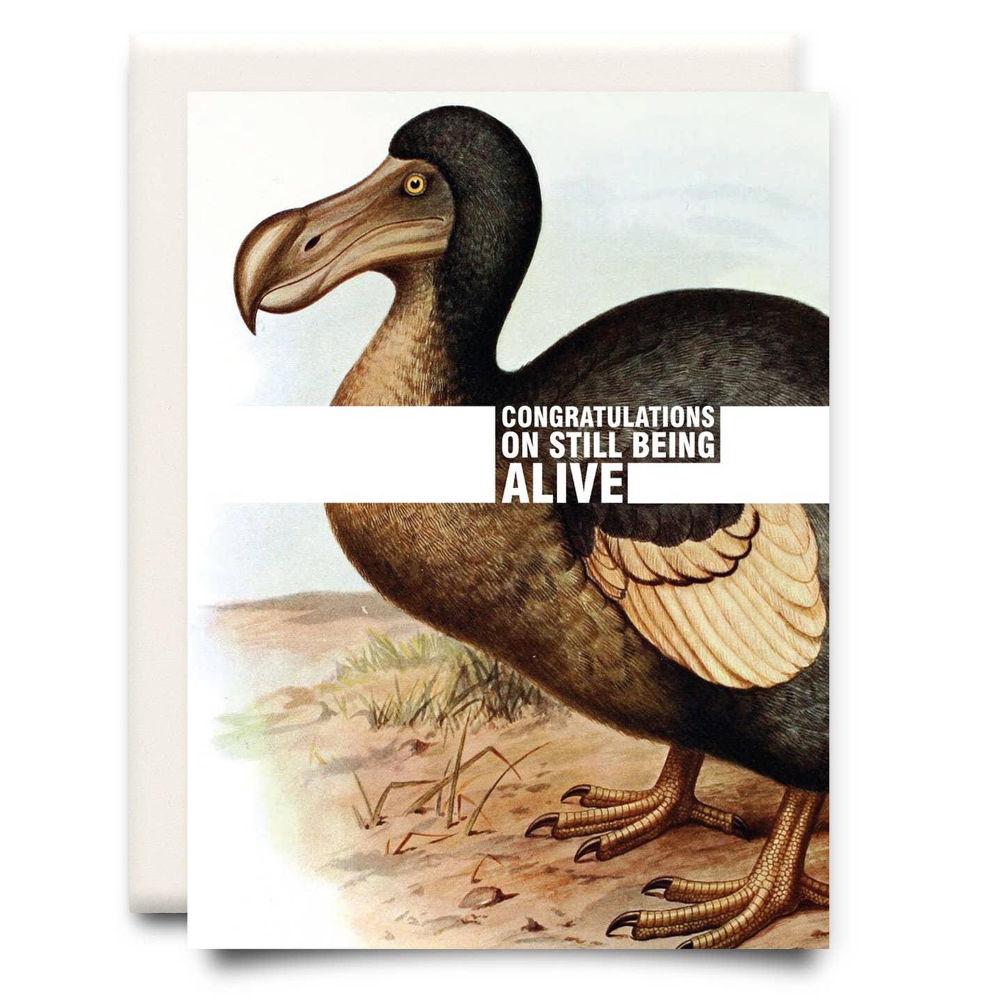 Inkwell Cards | Still Being Alive Birthday Card