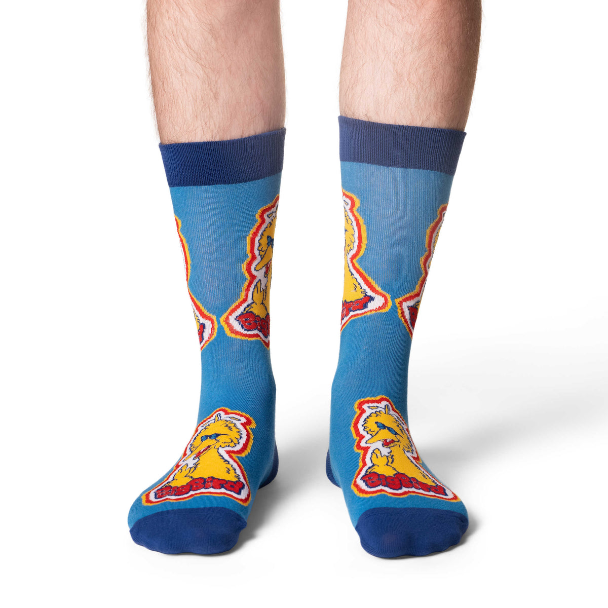Good Luck Sock | Men's Crew | Sesame Street, Big Bird