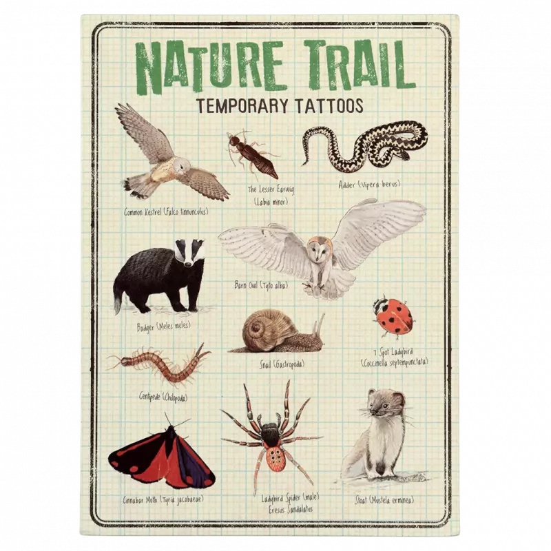 Rex London | Nature Trail Temporary Tattoos
