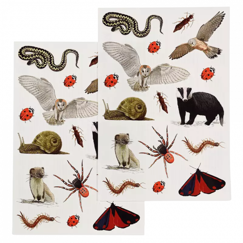 Rex London | Nature Trail Temporary Tattoos