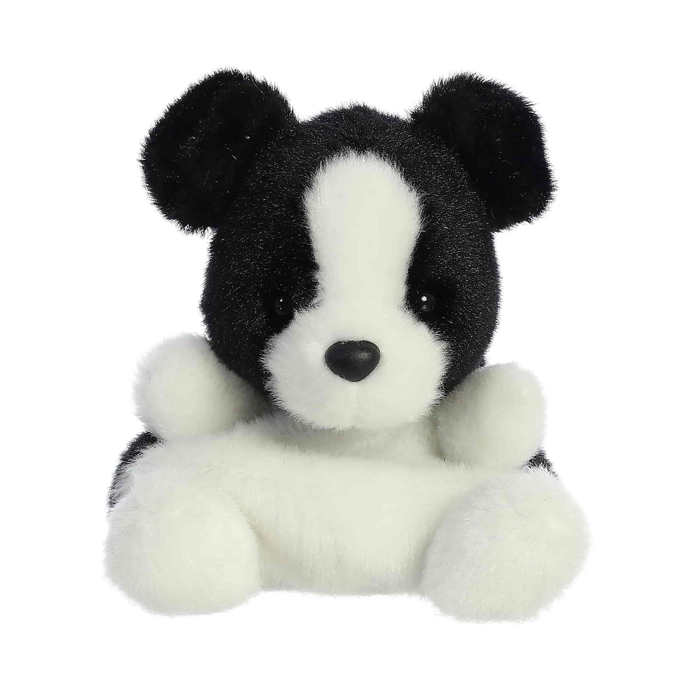 Palm Pals | Brody Collie