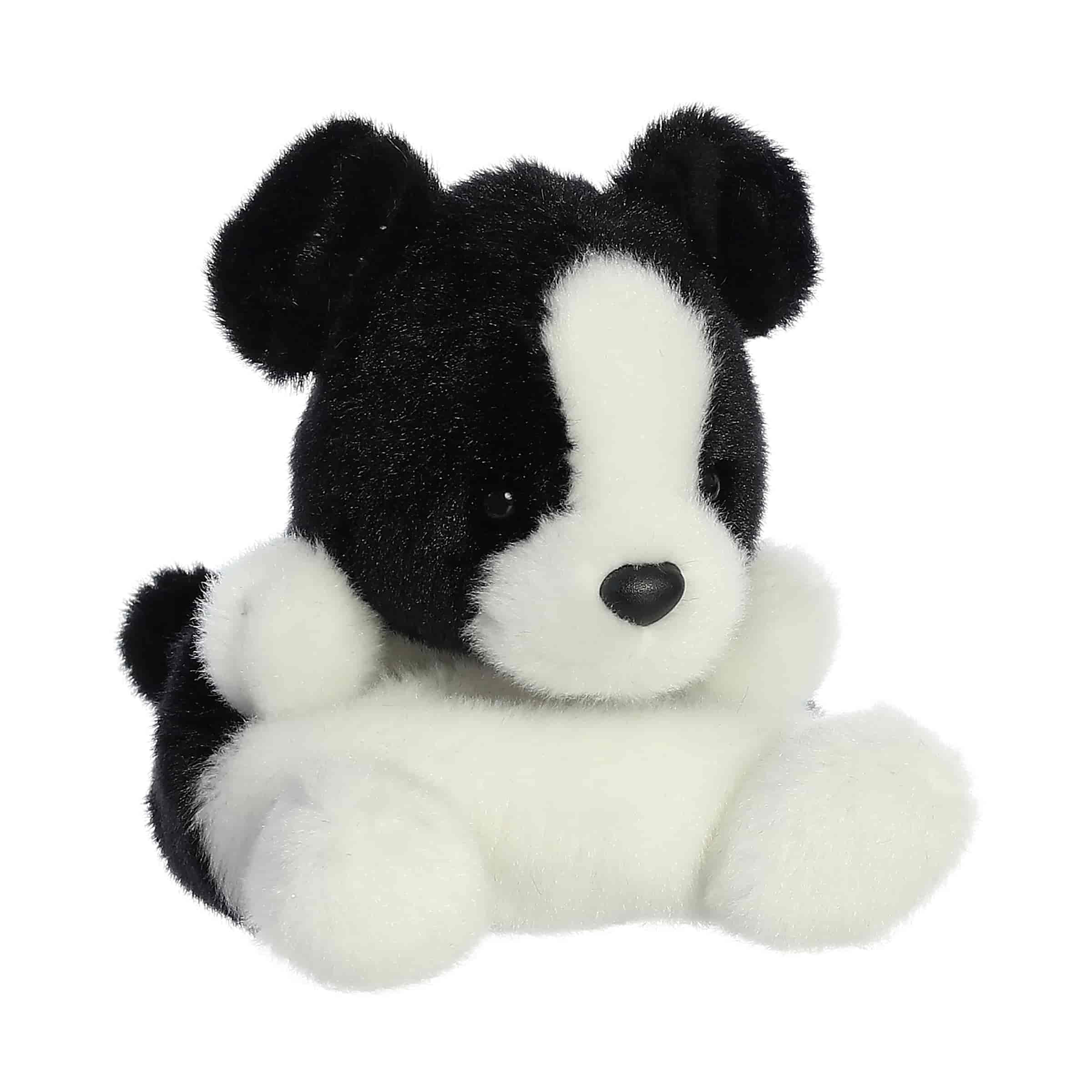 Palm Pals | Brody Collie