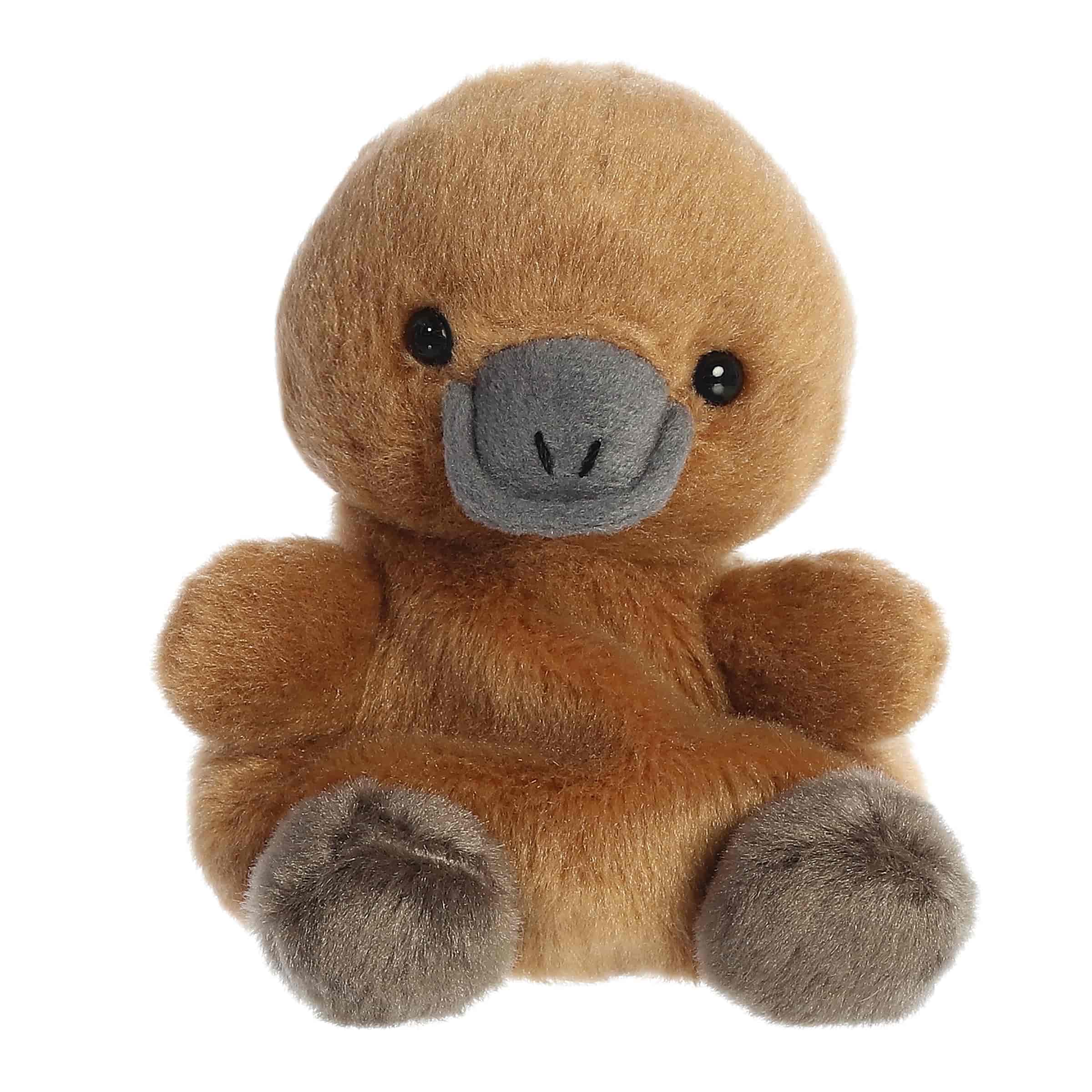 Palm Pals | Patty Platypus