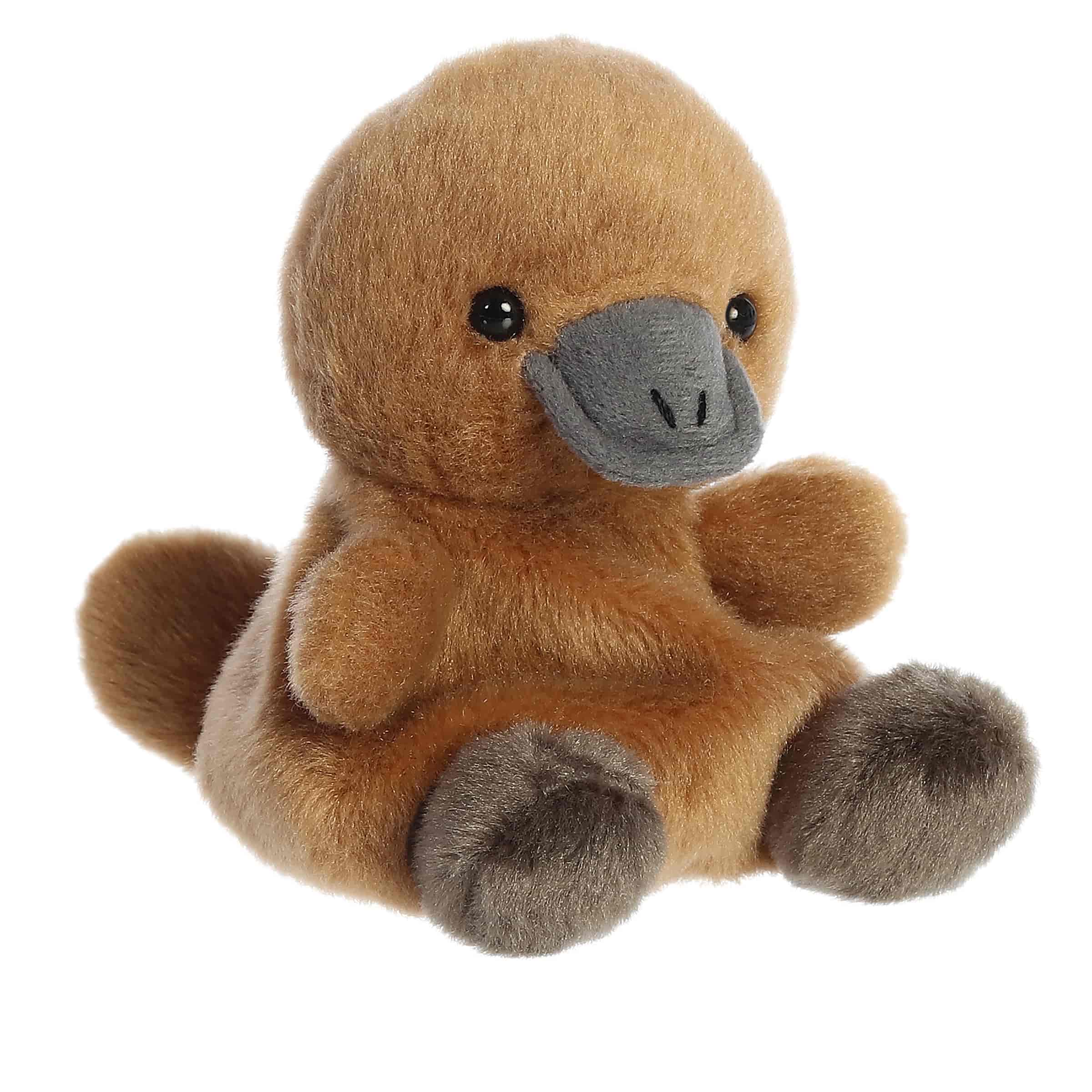 Palm Pals | Patty Platypus