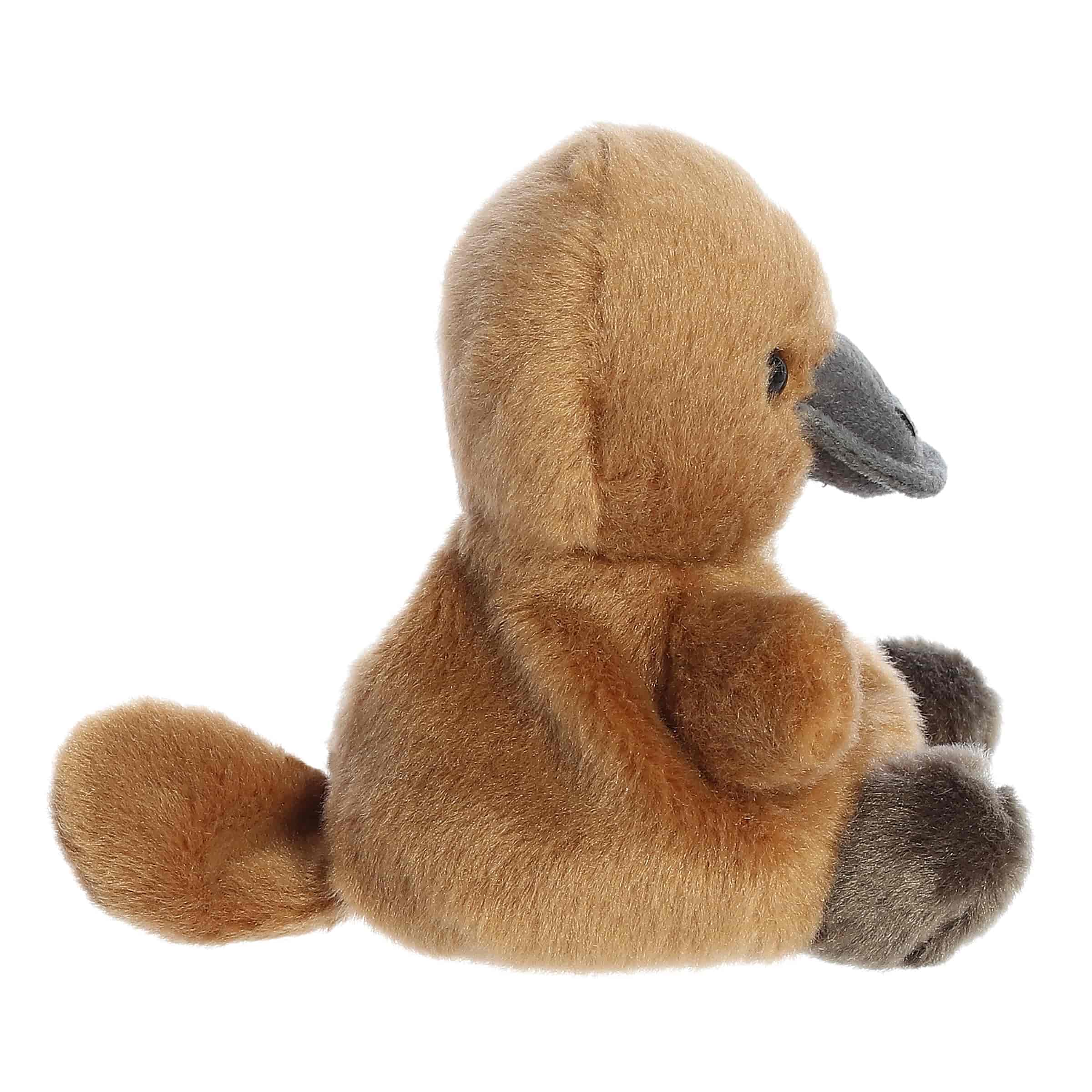 Palm Pals | Patty Platypus