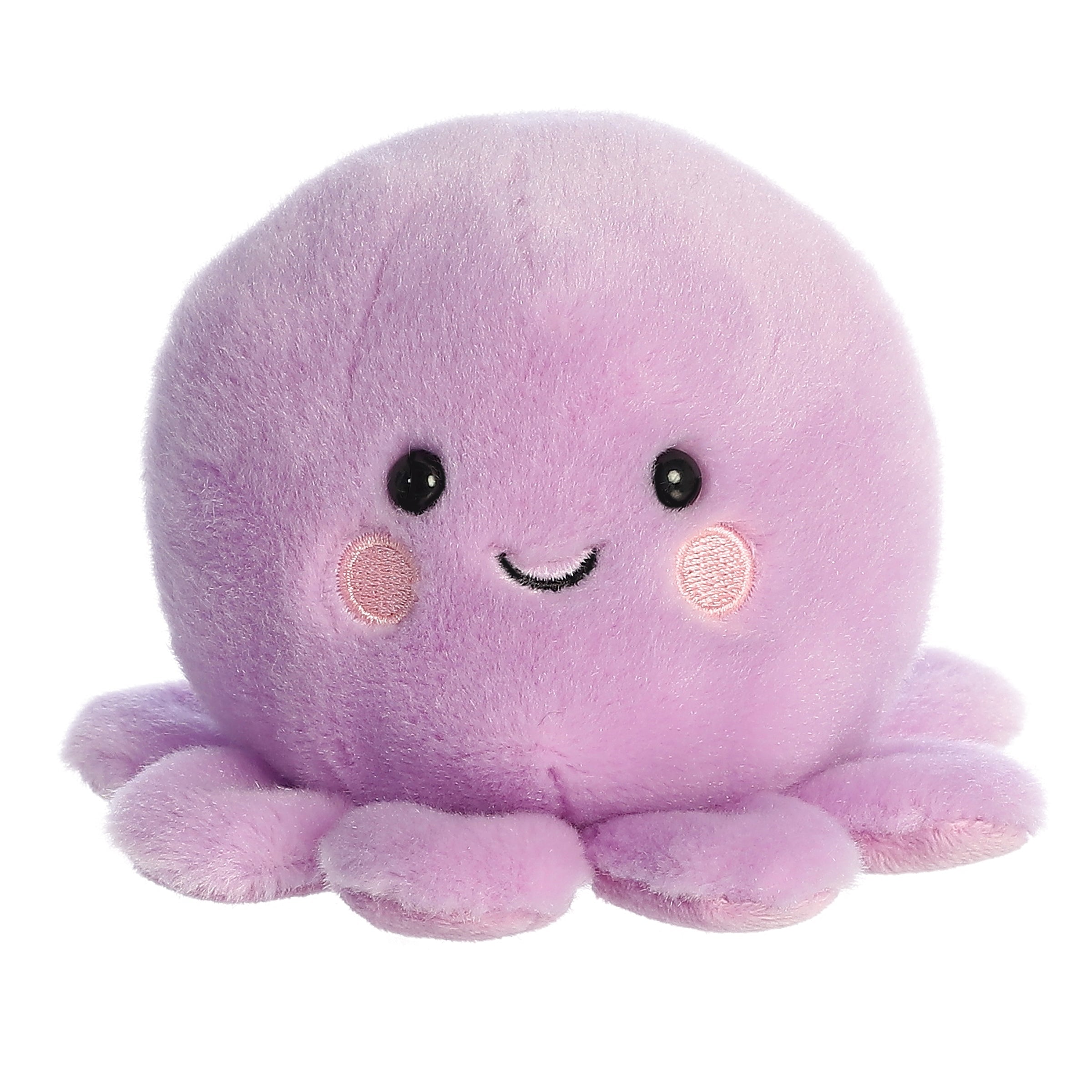 Palm Pals | Oliver Octopus