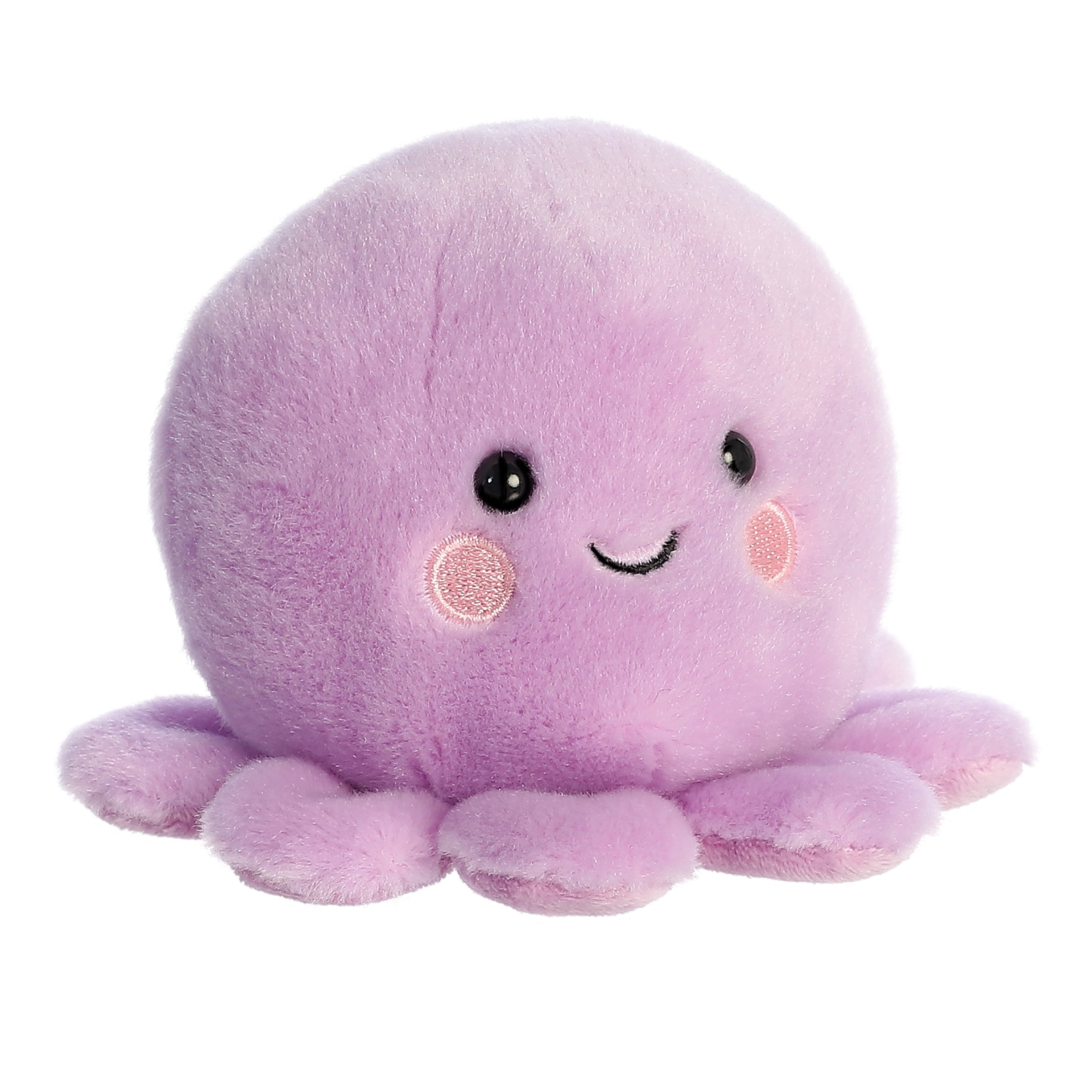 Palm Pals | Oliver Octopus