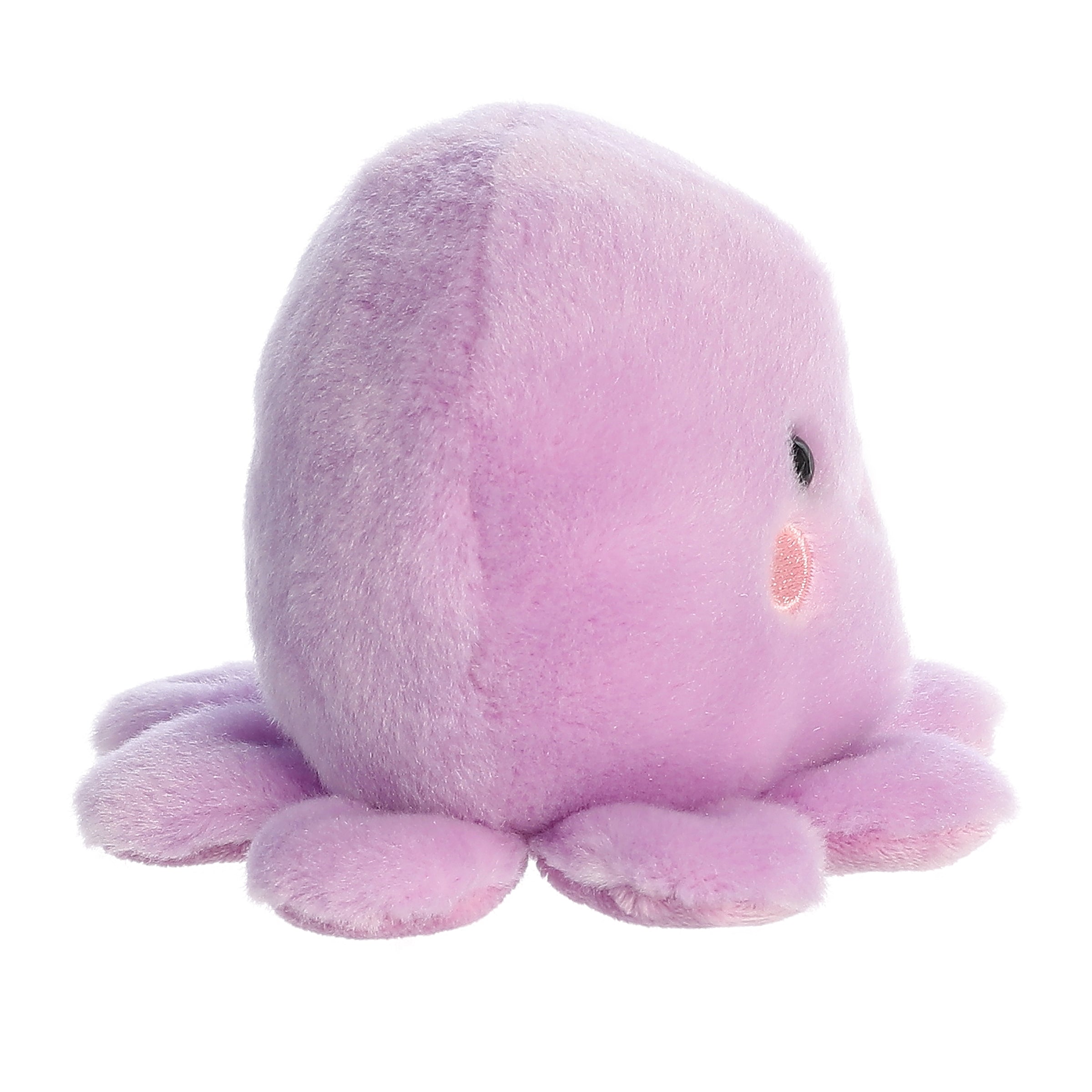 Palm Pals | Oliver Octopus