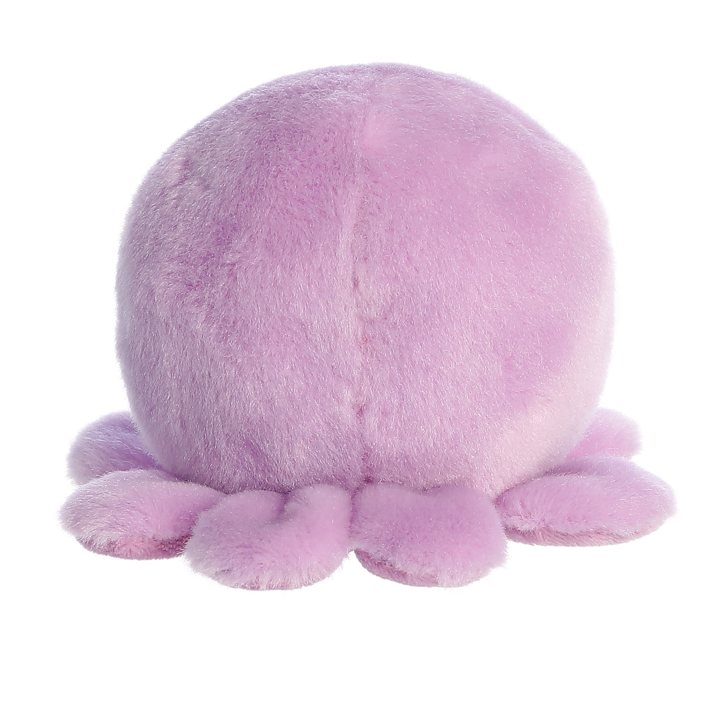 Palm Pals | Oliver Octopus