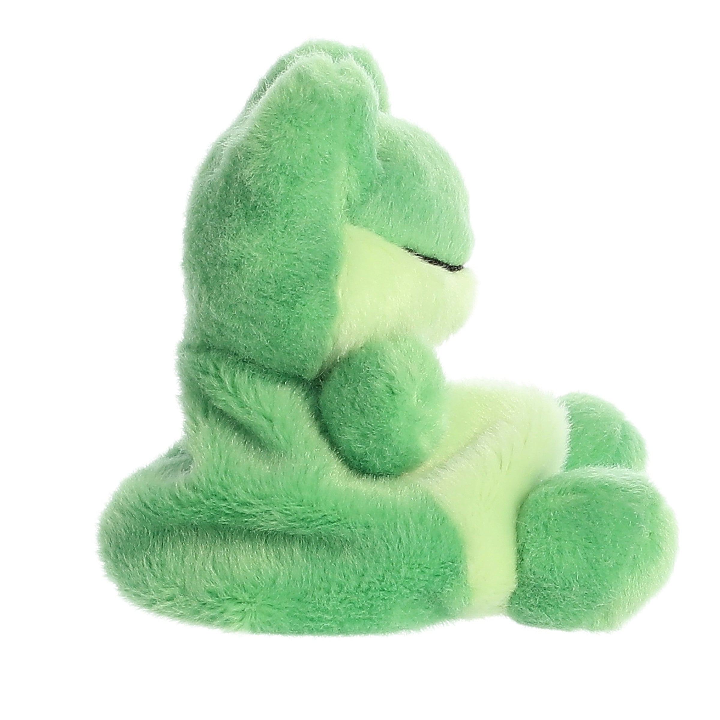 Palm Pals | Ribbits Frog