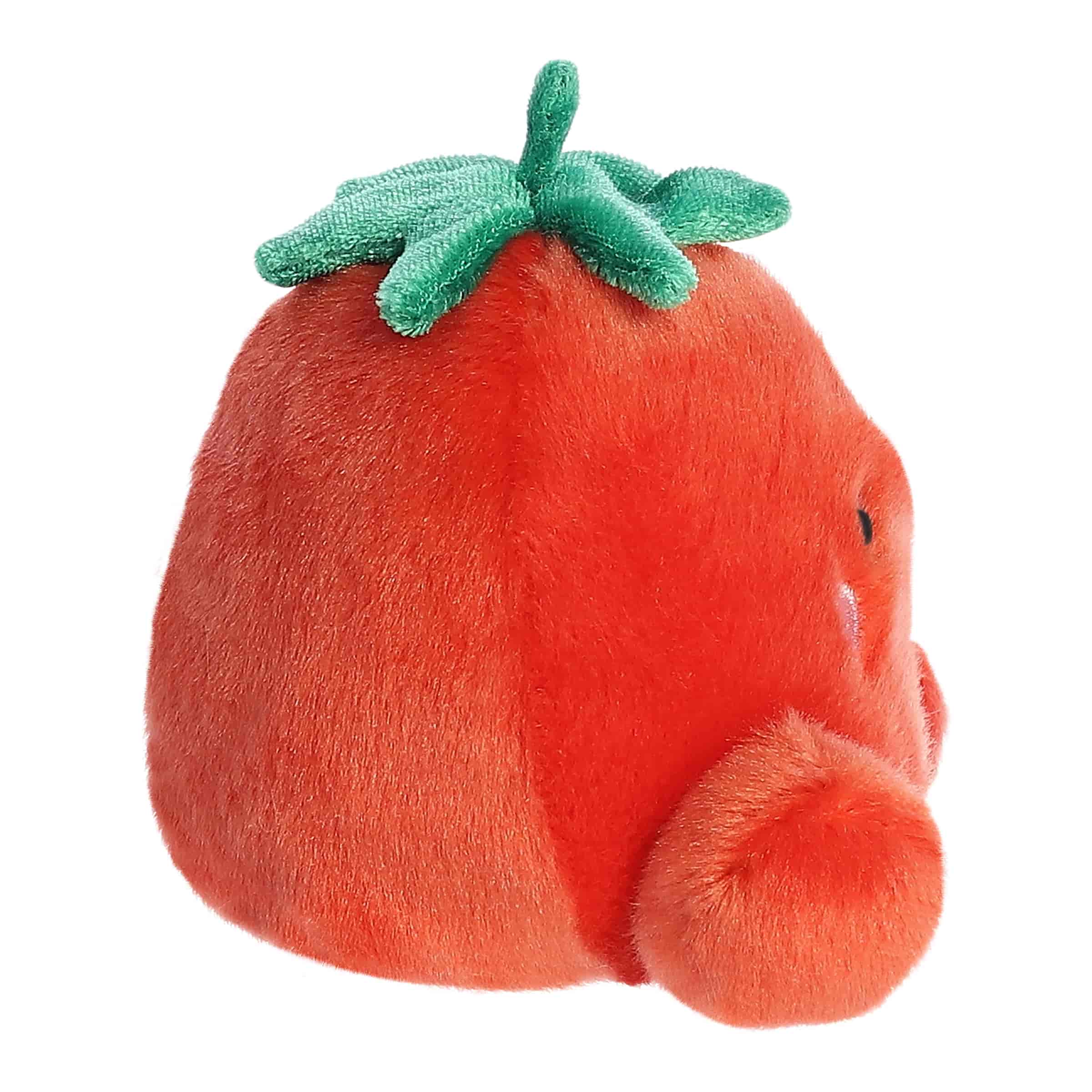 Palm Pals | Boyd Tomato