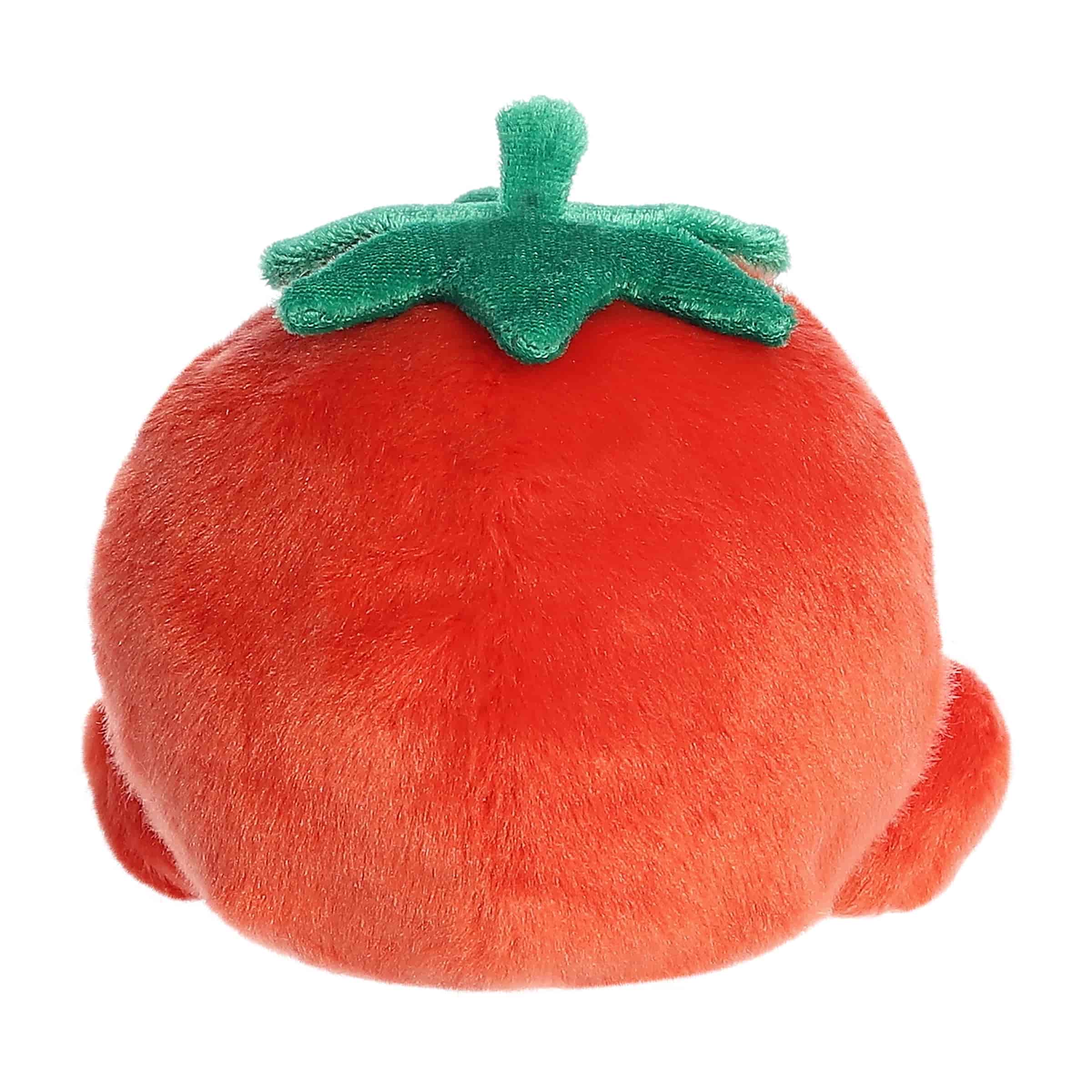 Palm Pals | Boyd Tomato