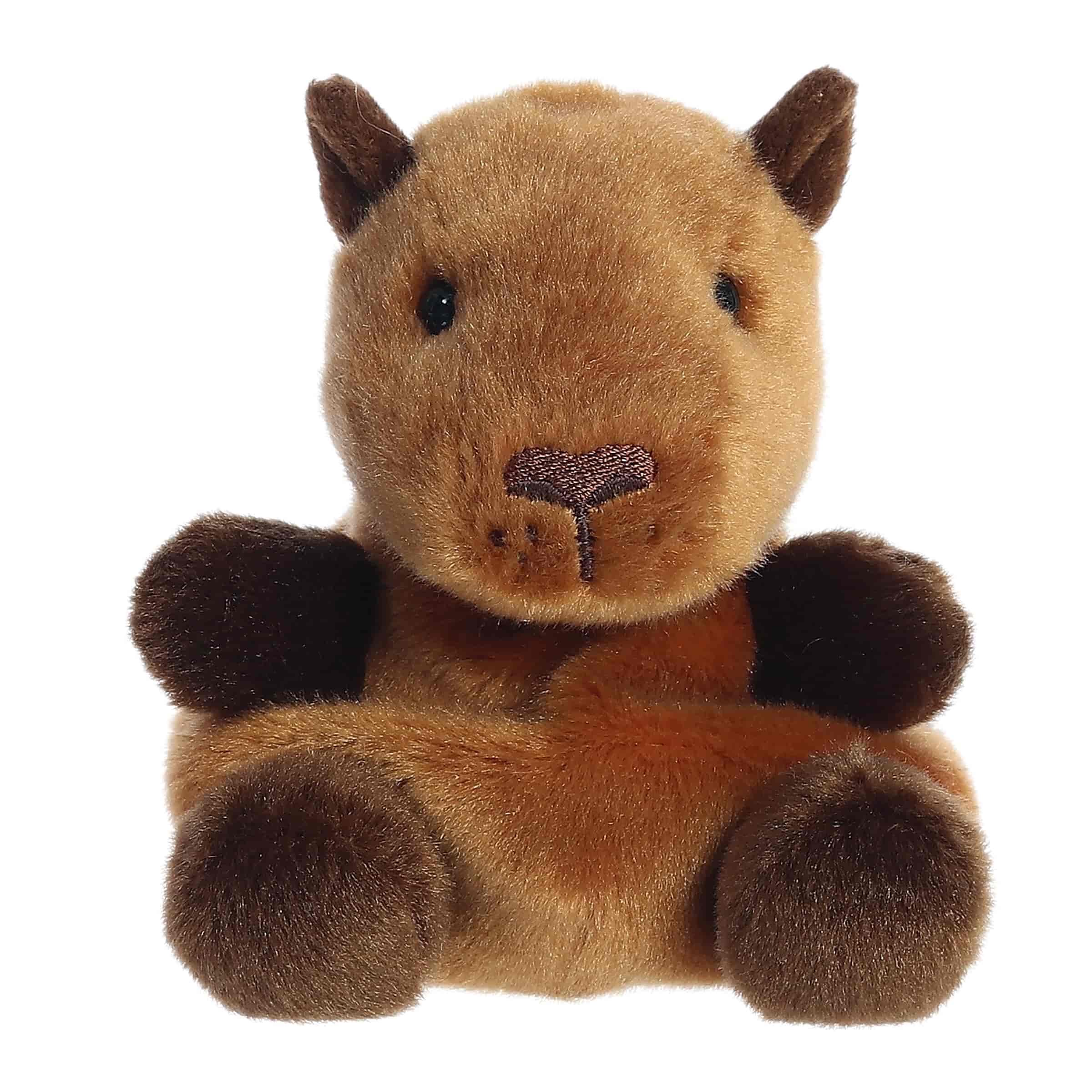 Palm Pals | Sid Capybara