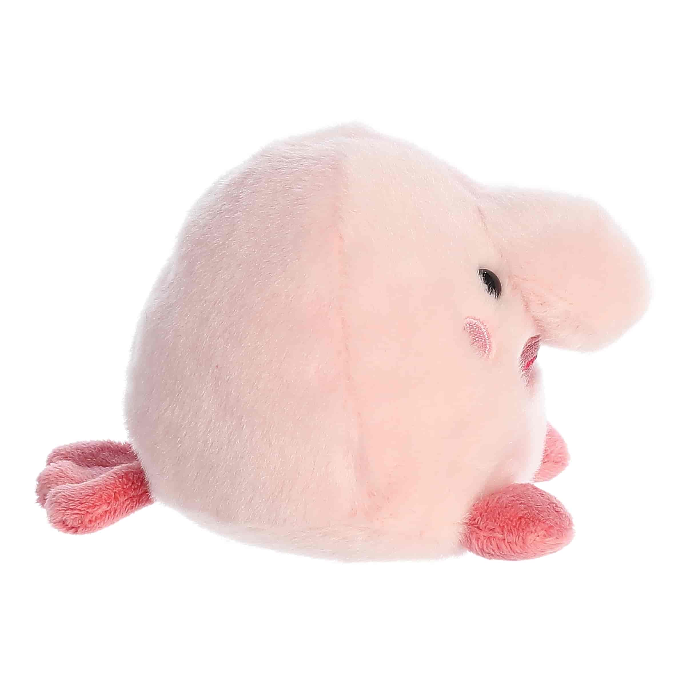 Palm Pals | Bart Blobfish