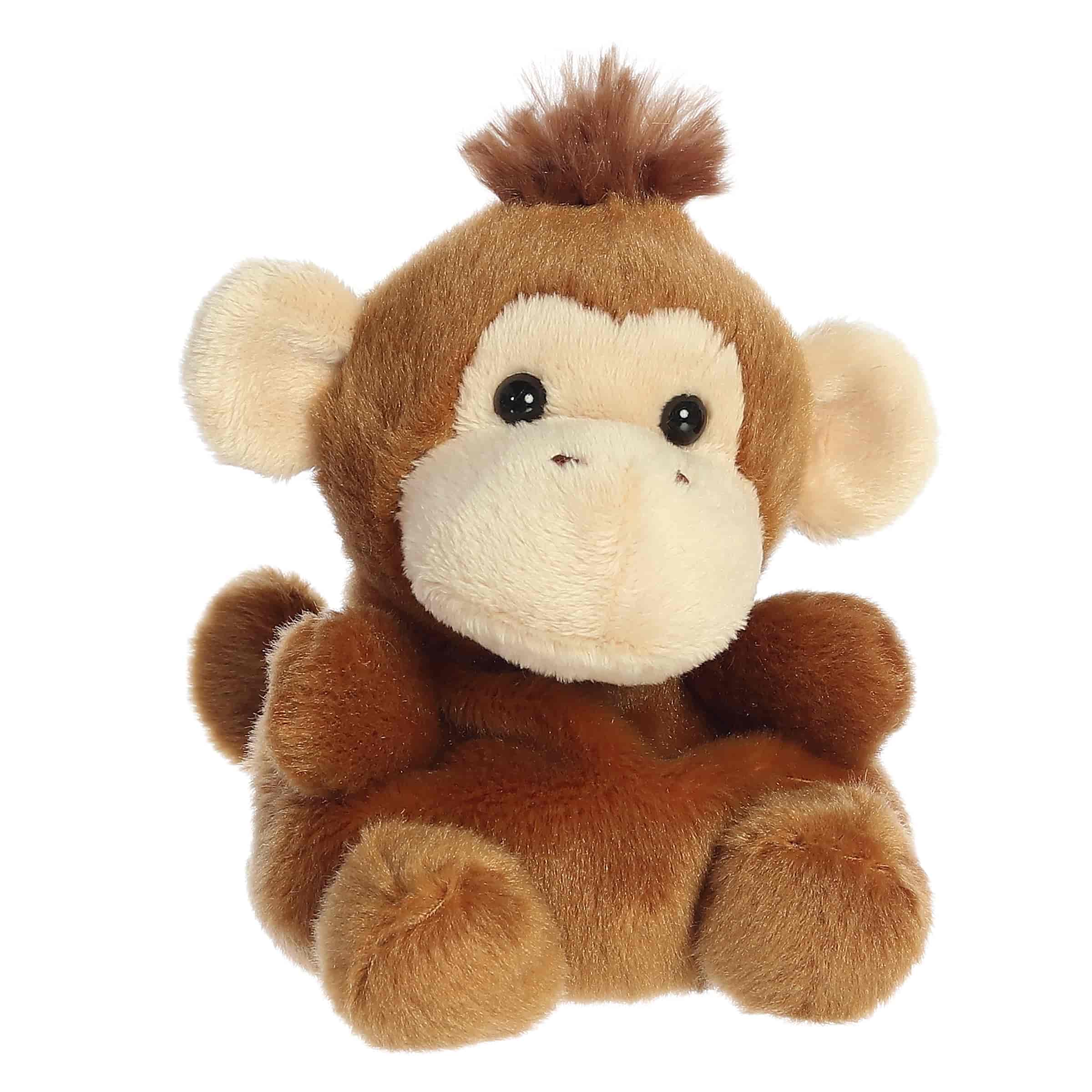 Palm Pals | Boomer Monkey