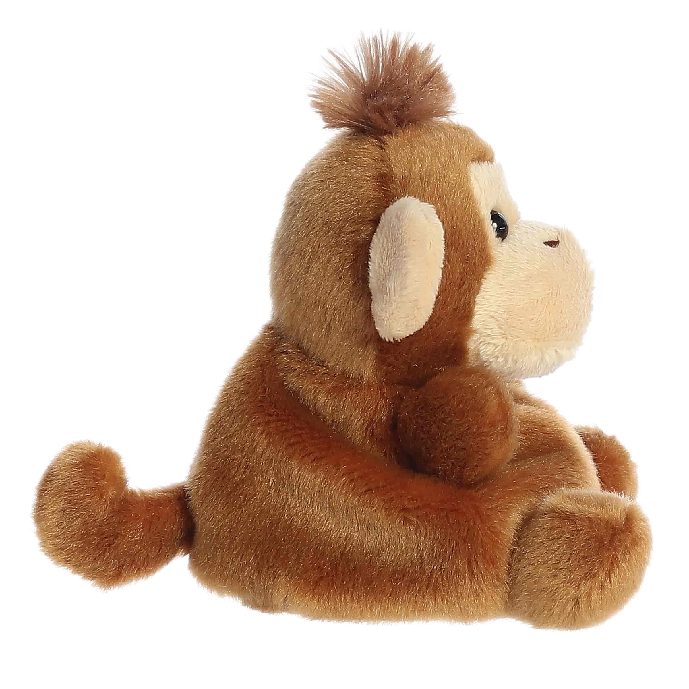 Palm Pals | Boomer Monkey