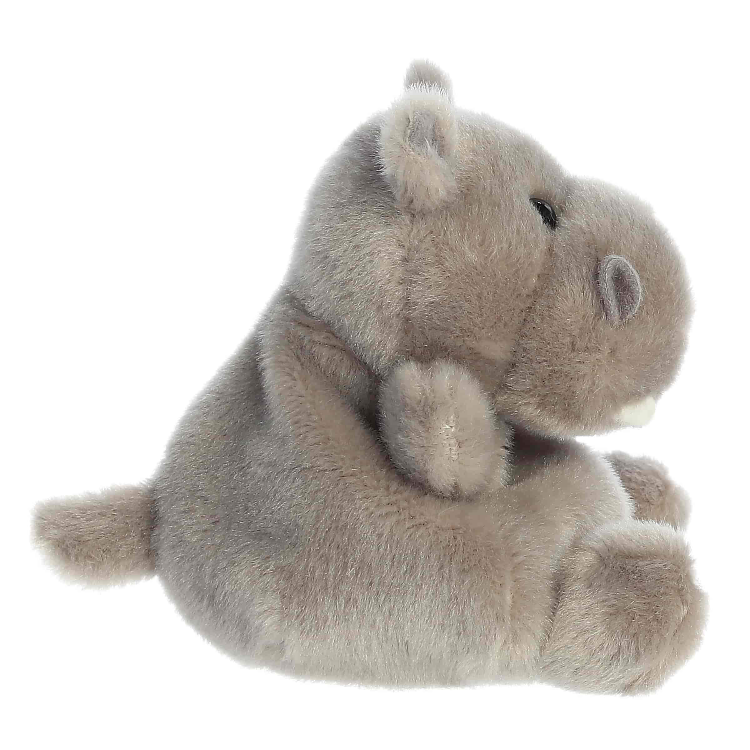 Palm Pals | Hunk Hippo