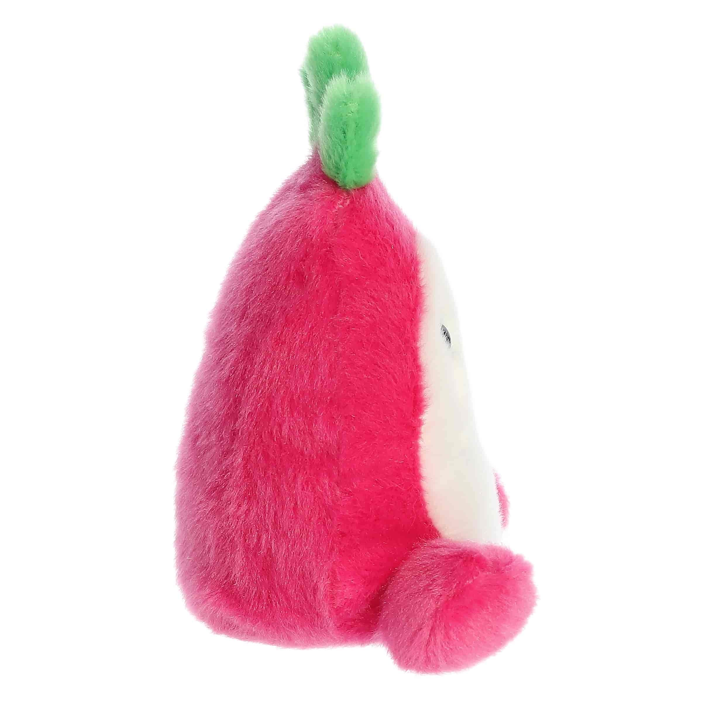 Palm Pals | Rhys Dragon Fruit