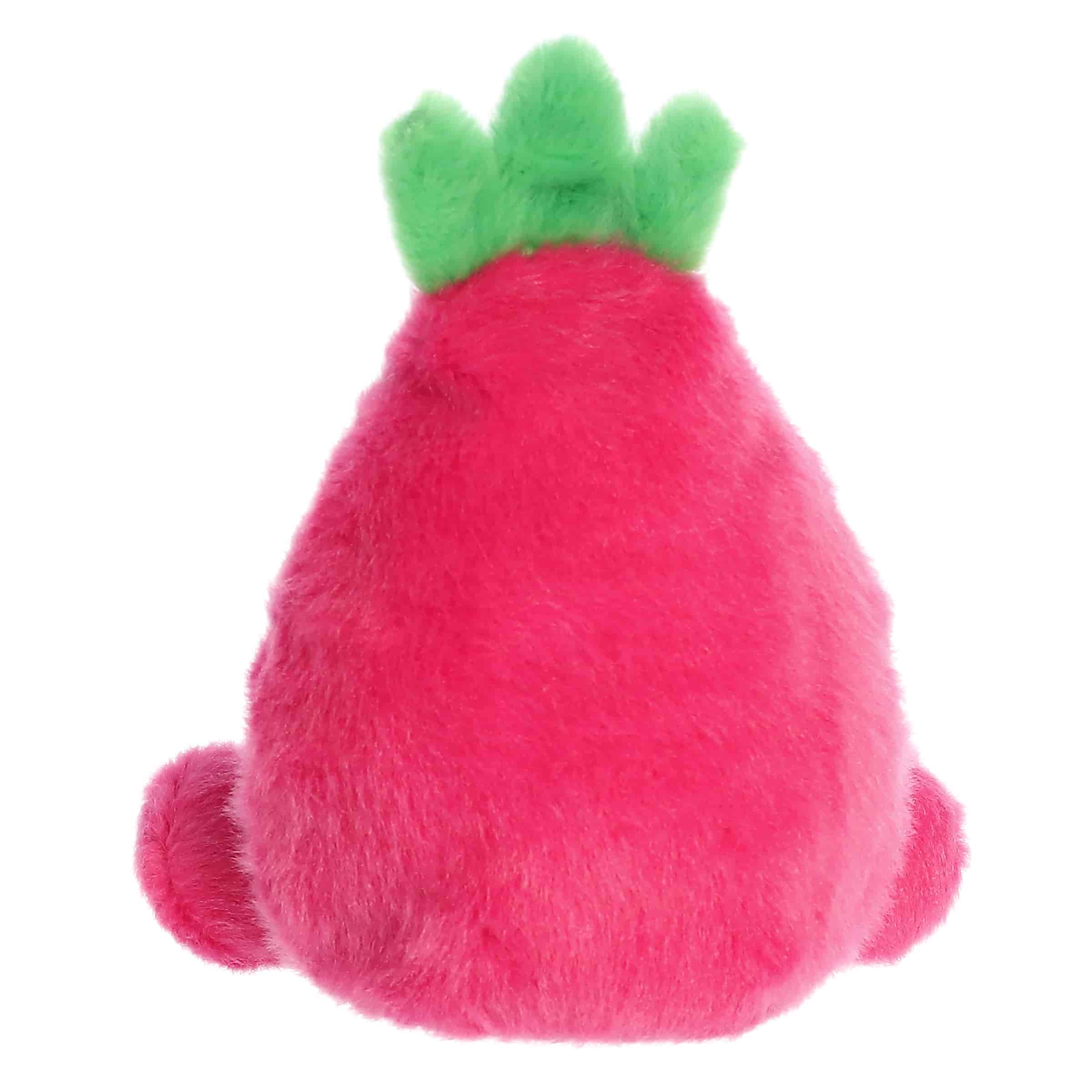 Palm Pals | Rhys Dragon Fruit