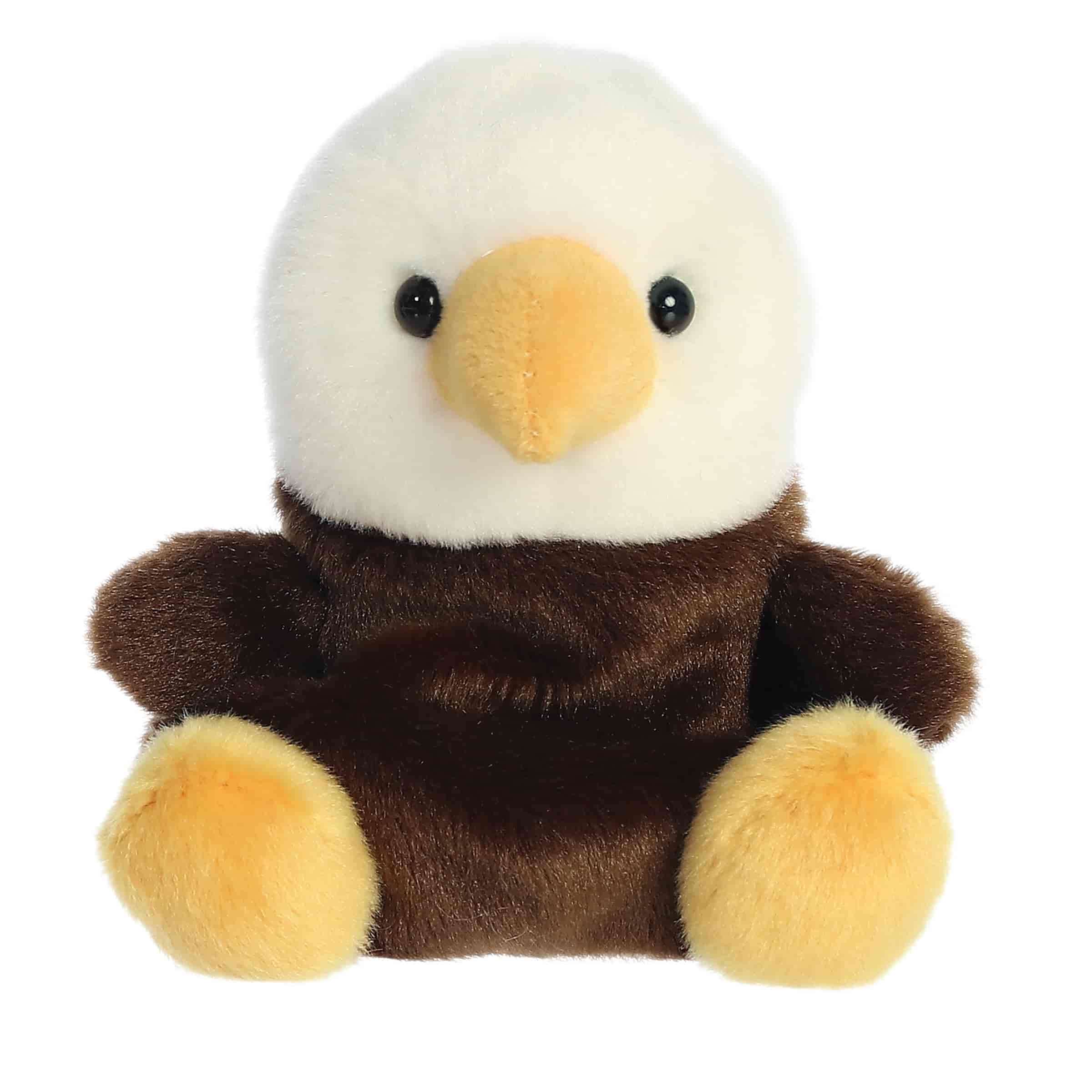 Palm Pals | Murphy Bald Eagle