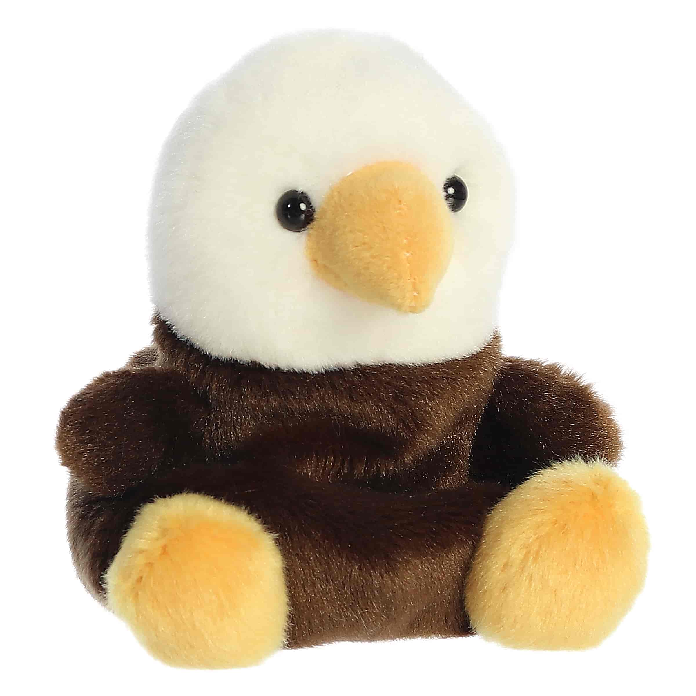 Palm Pals | Murphy Bald Eagle