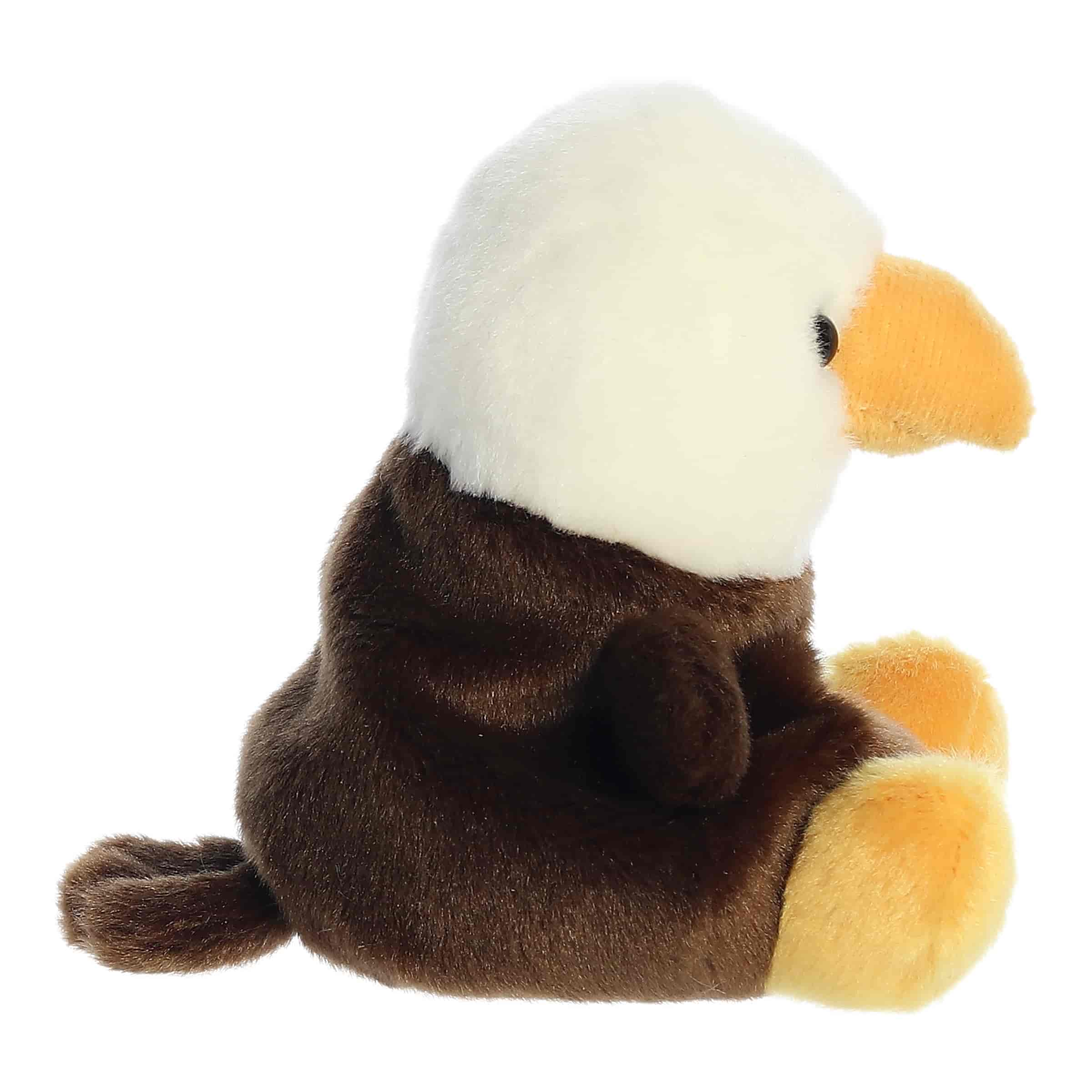 Palm Pals | Murphy Bald Eagle