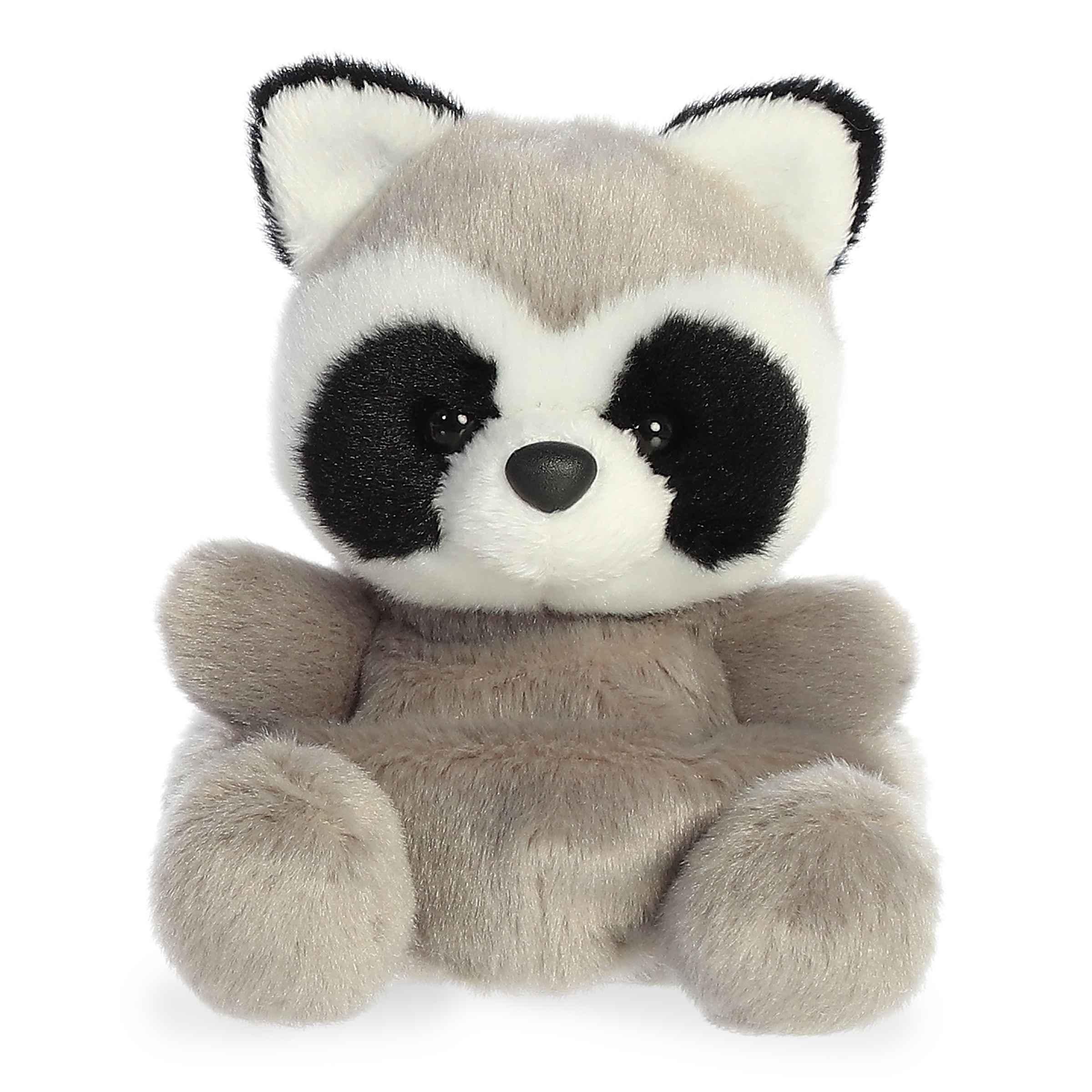Palm Pals | Rascal Raccoon