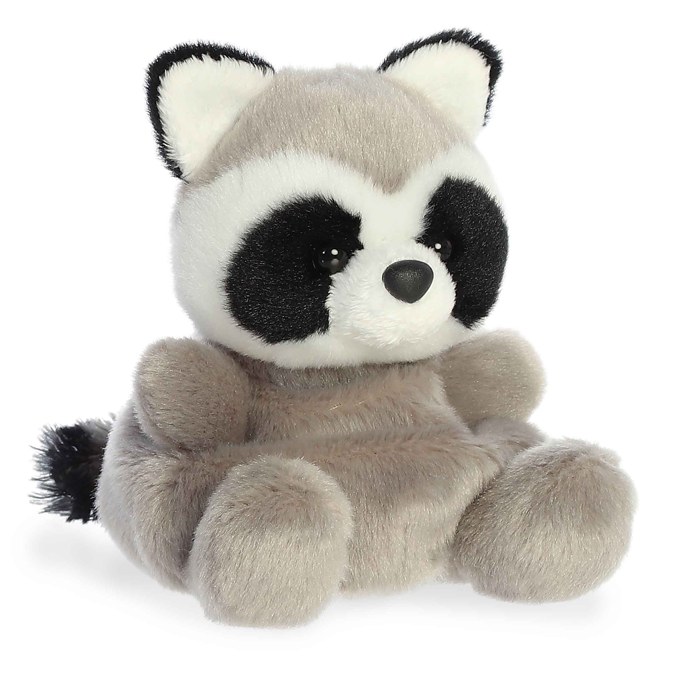 Palm Pals | Rascal Raccoon