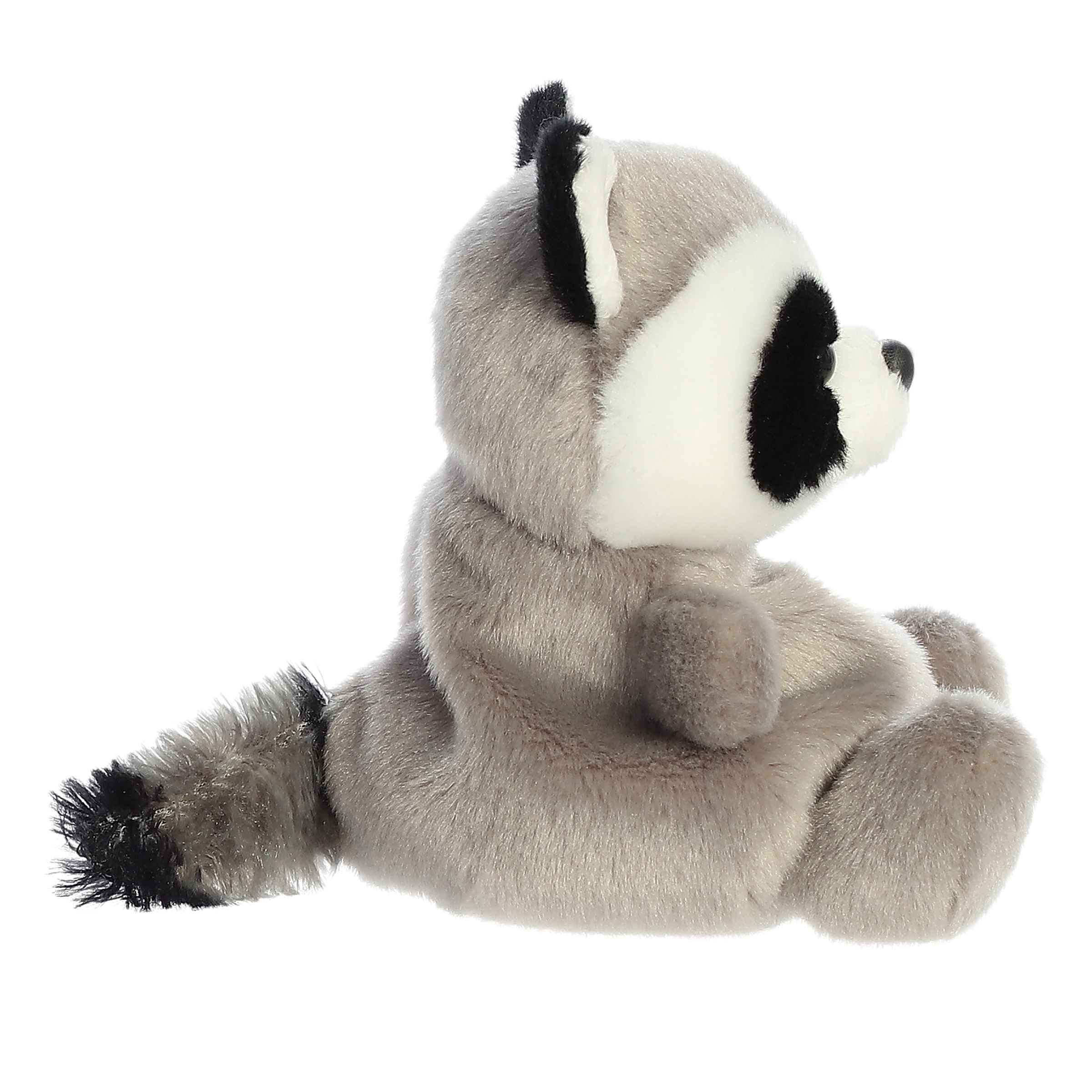 Palm Pals | Rascal Raccoon