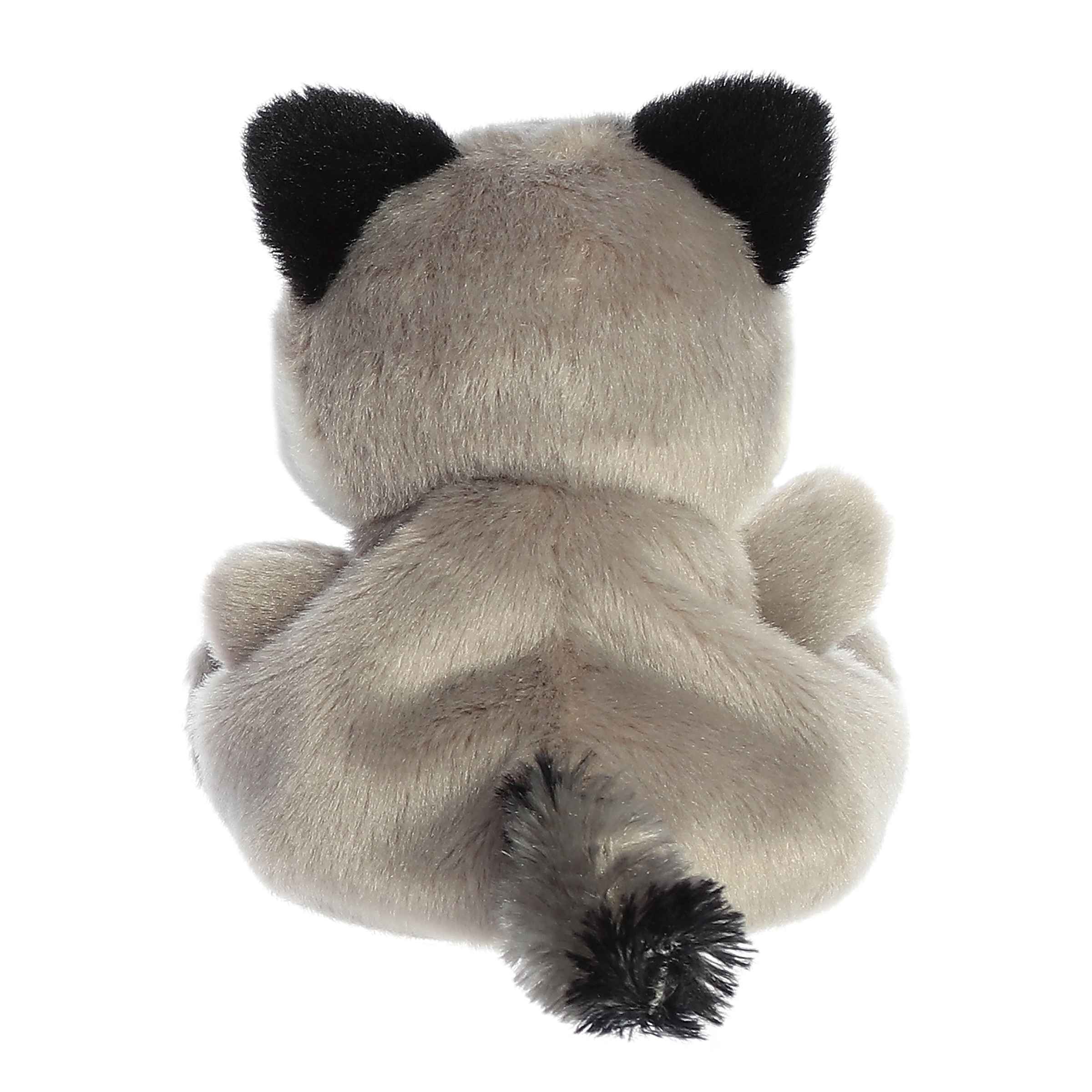 Palm Pals | Rascal Raccoon
