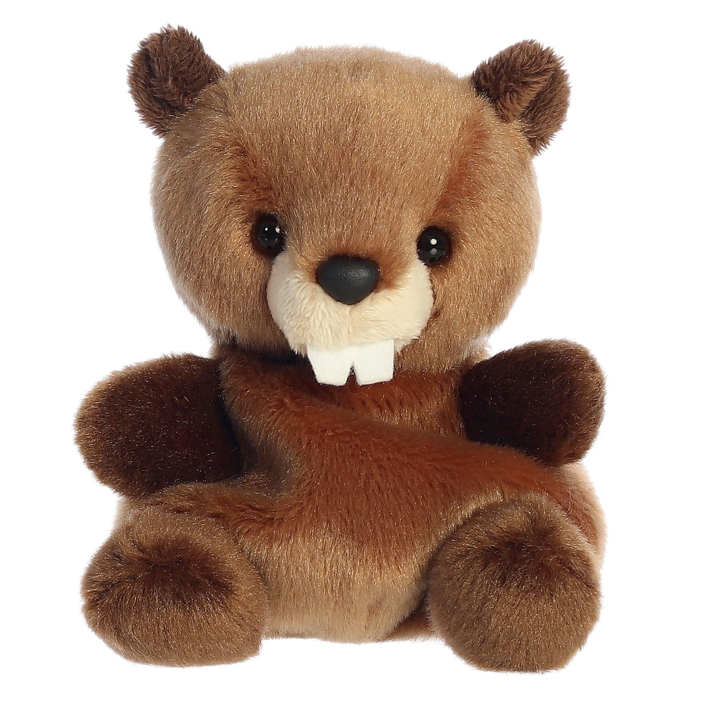Palm Pals | Chewy Beaver