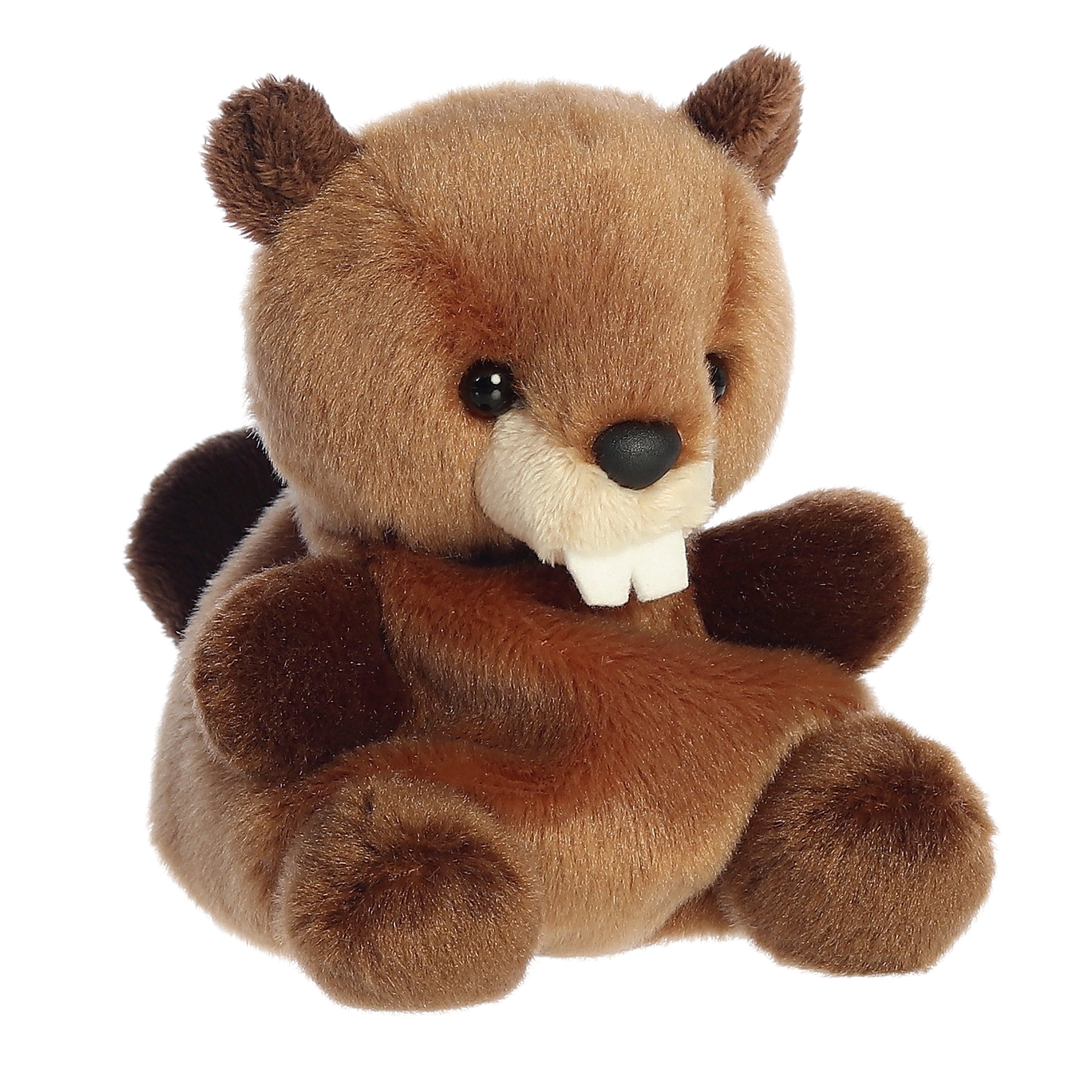 Palm Pals | Chewy Beaver