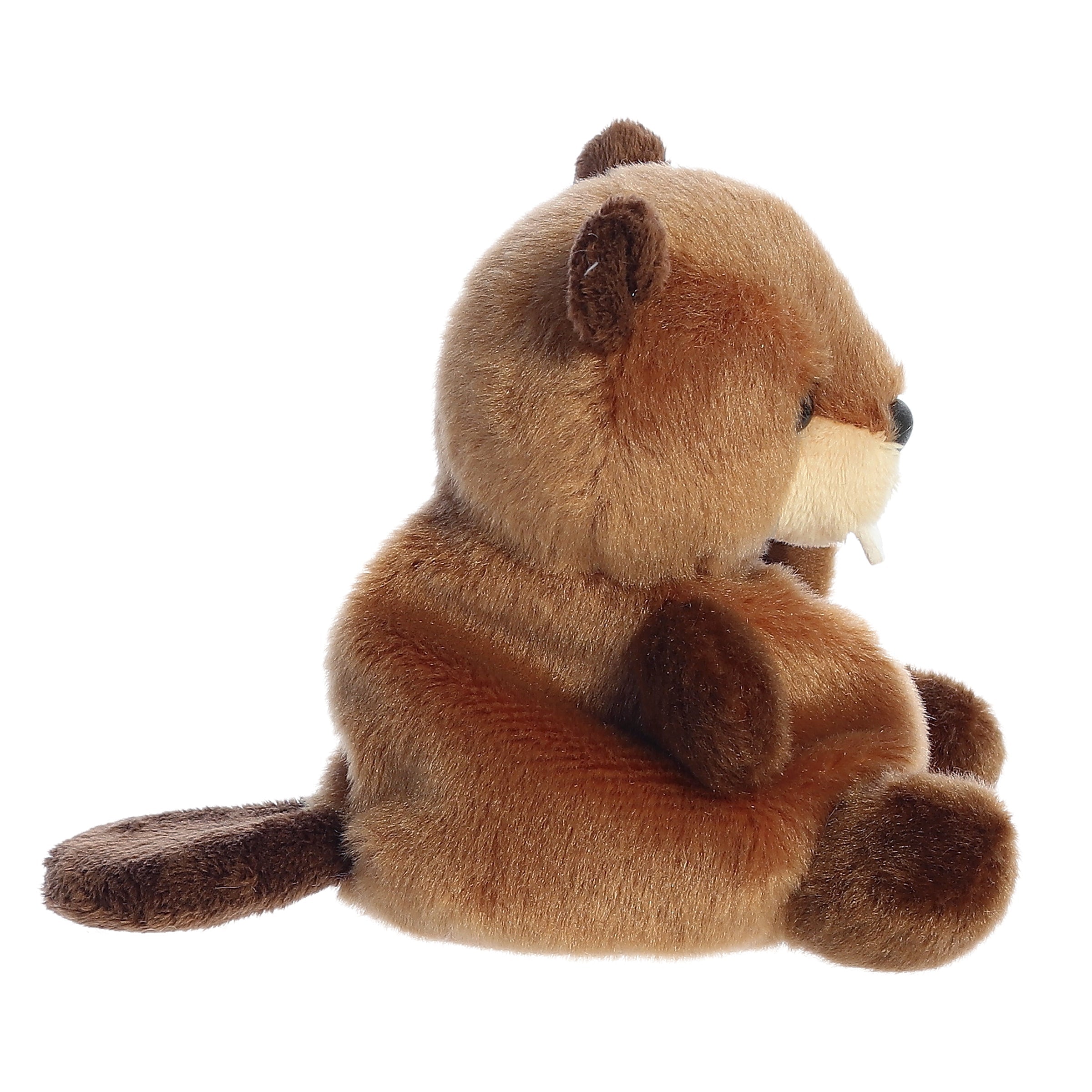 Palm Pals | Chewy Beaver