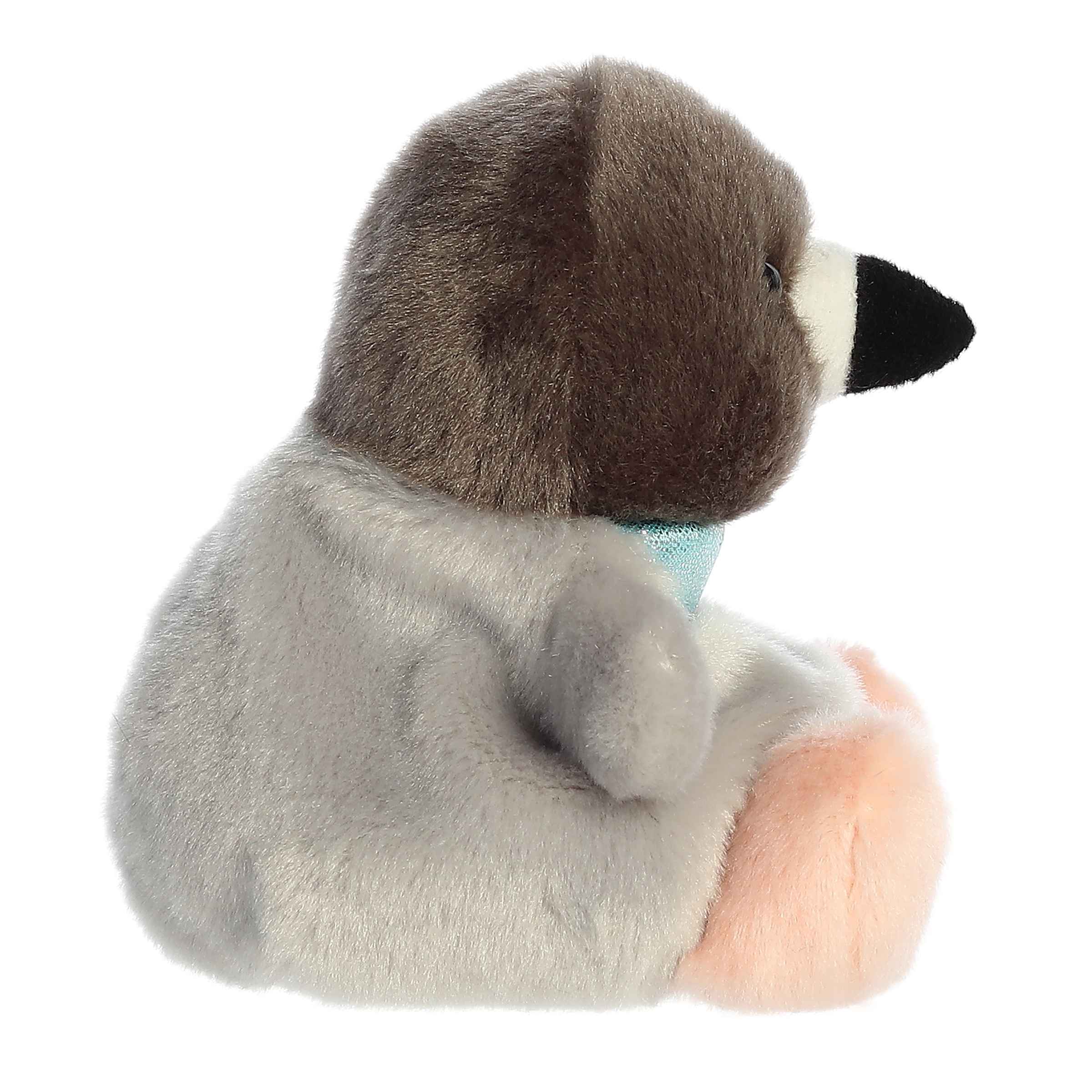Palm Pals | Crumbs Pigeon