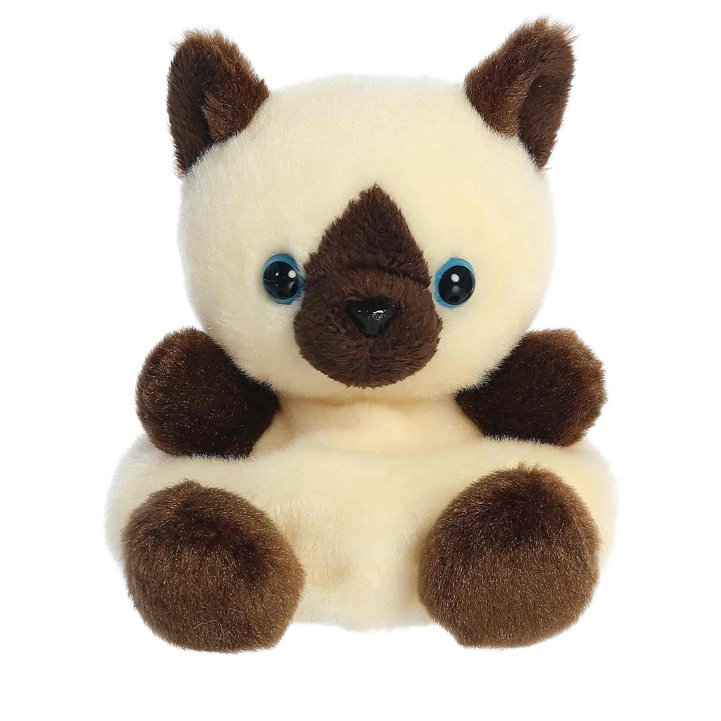 Palm Pals | Dusty Siamese Cat