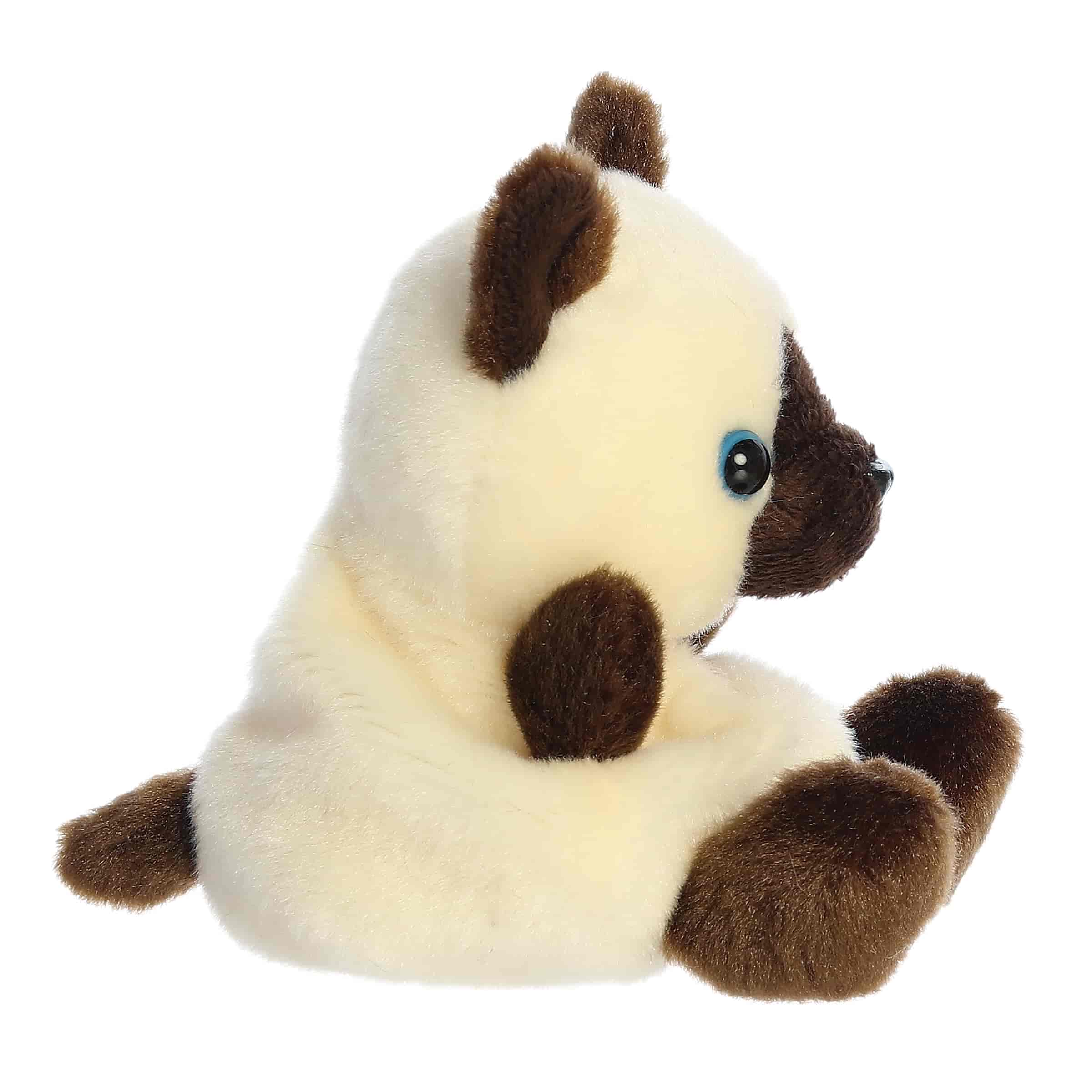 Palm Pals | Dusty Siamese Cat