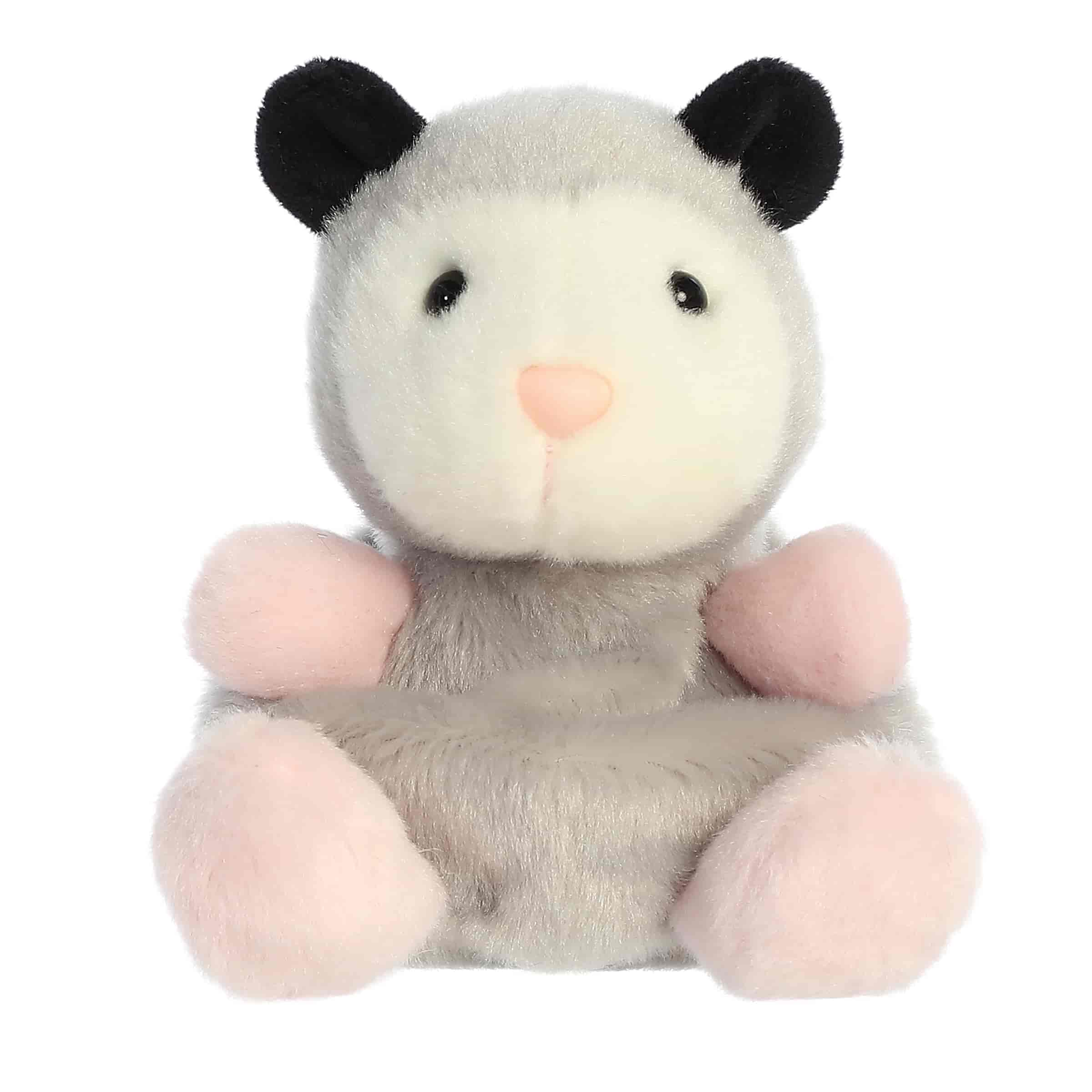 Palm Pals | Sherri Opossum