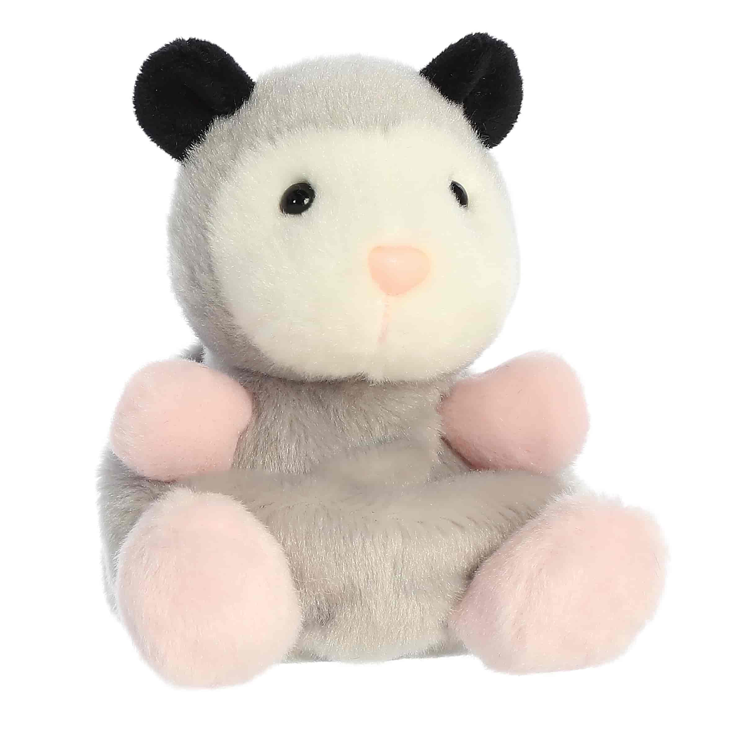 Palm Pals | Sherri Opossum