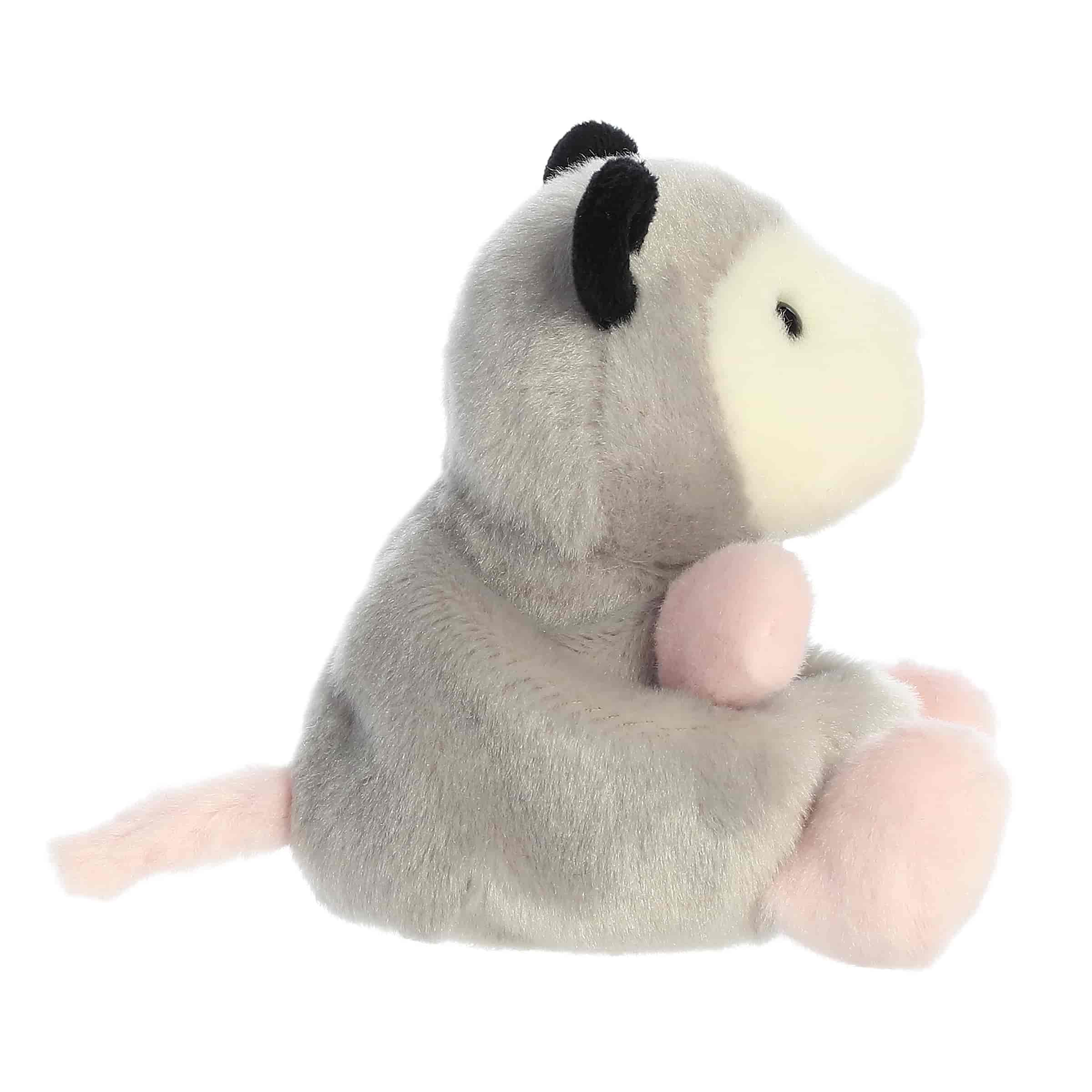 Palm Pals | Sherri Opossum
