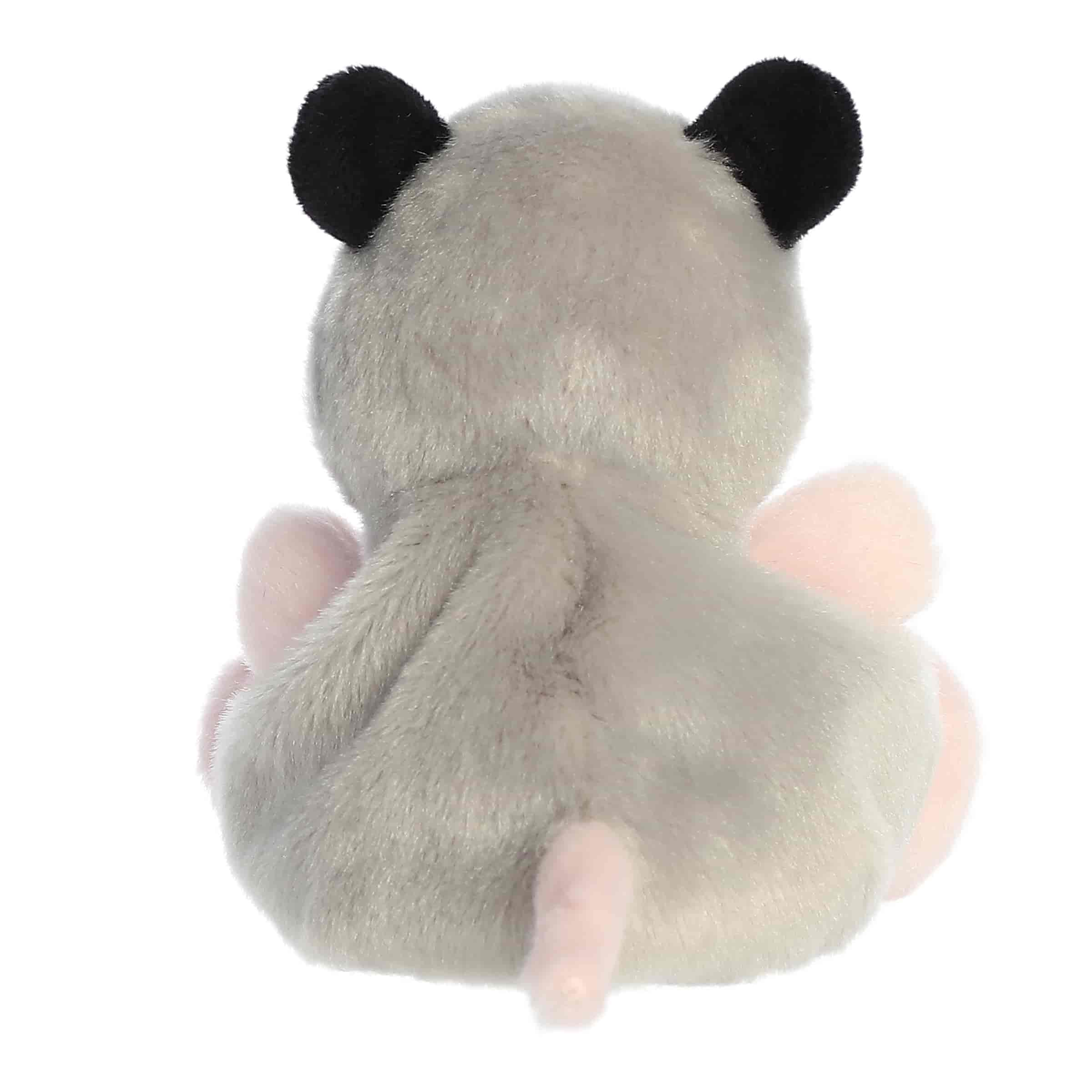 Palm Pals | Sherri Opossum