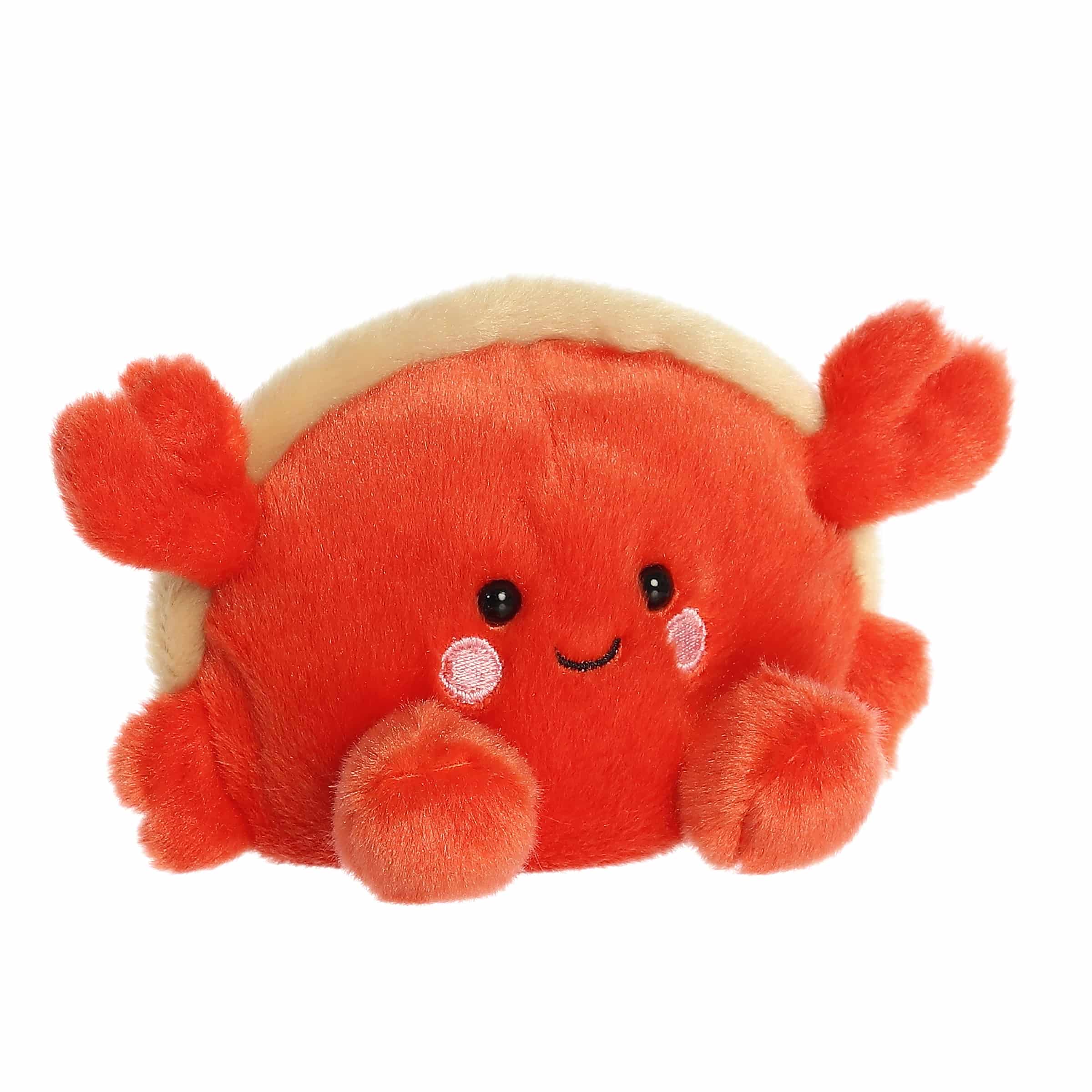 Palm Pals | Tide Hermit Crab