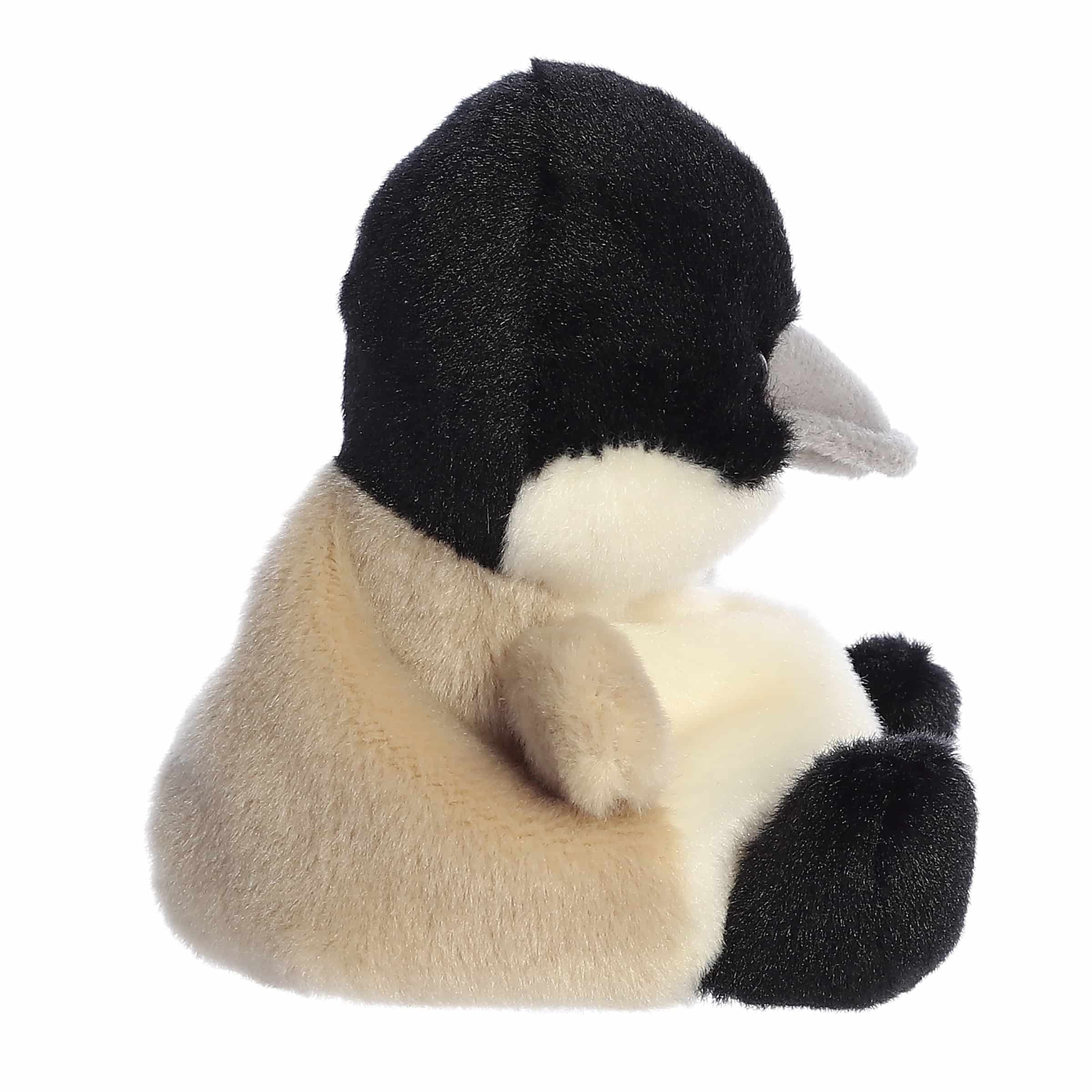 Palm Pals | Alberta Canadian Goose
