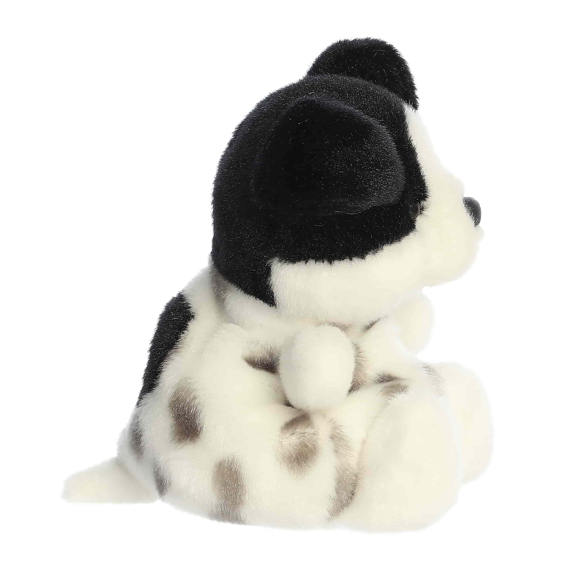 Palm Pals | Snorkels Black & White Dog