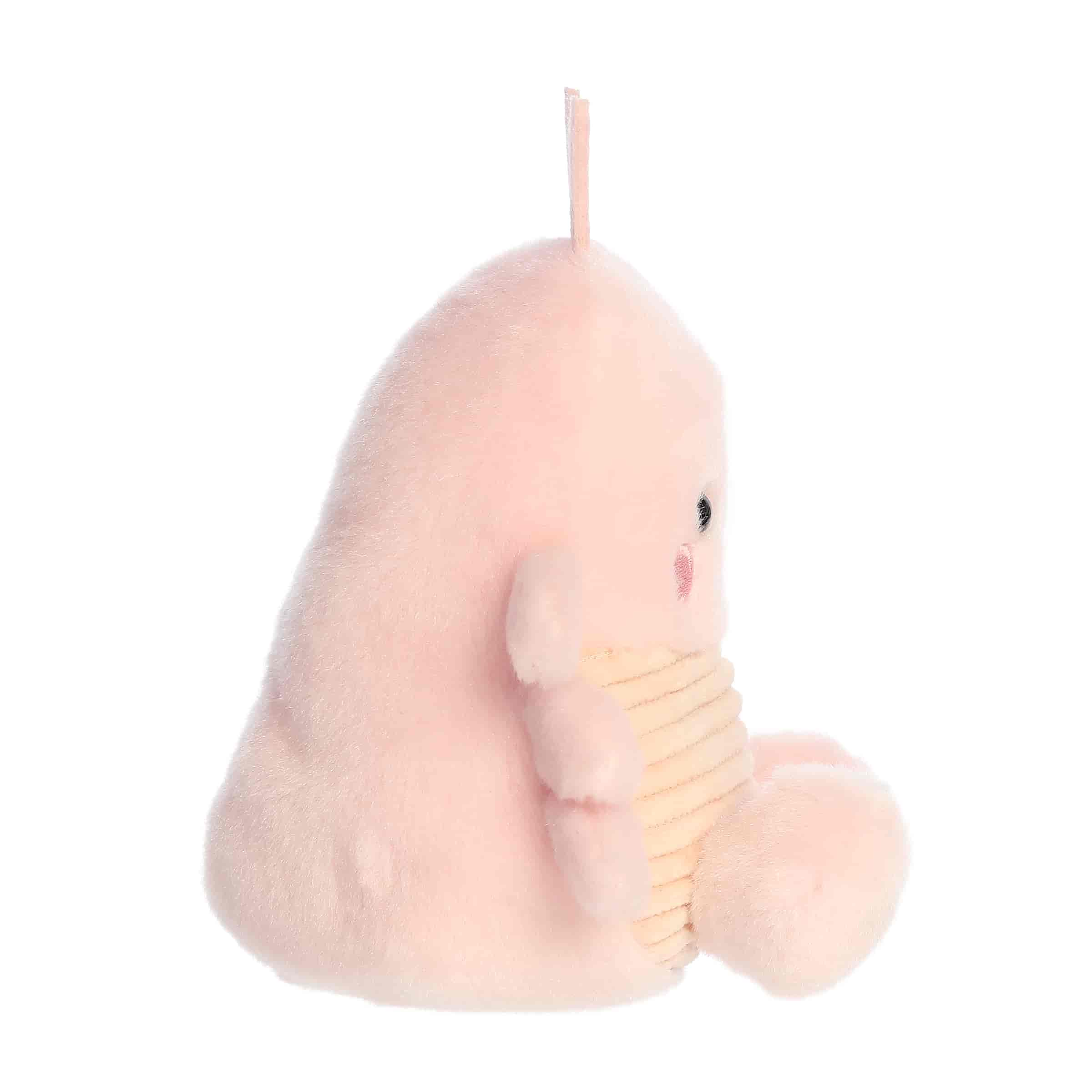 Palm Pals | Augustin Shrimp