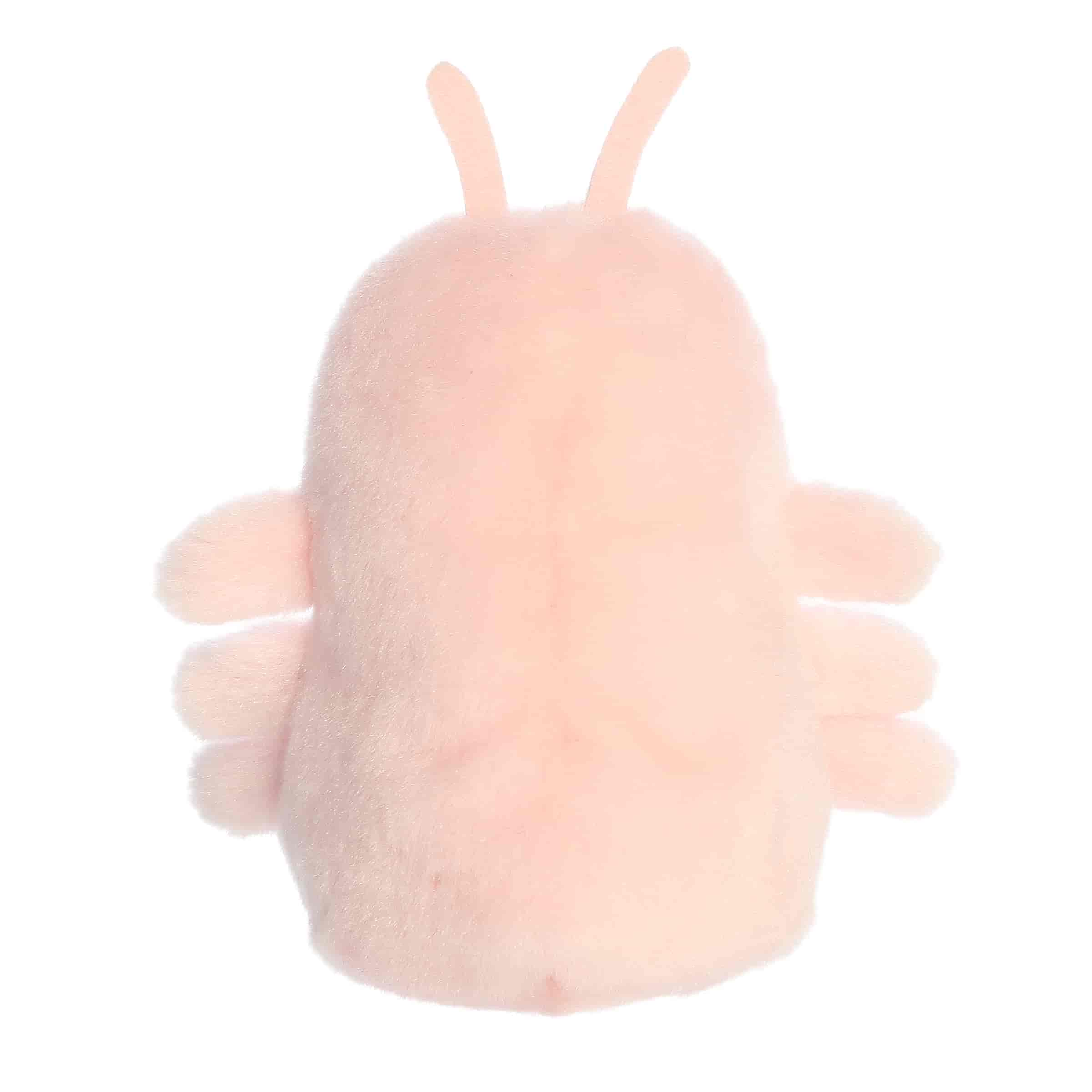 Palm Pals | Augustin Shrimp