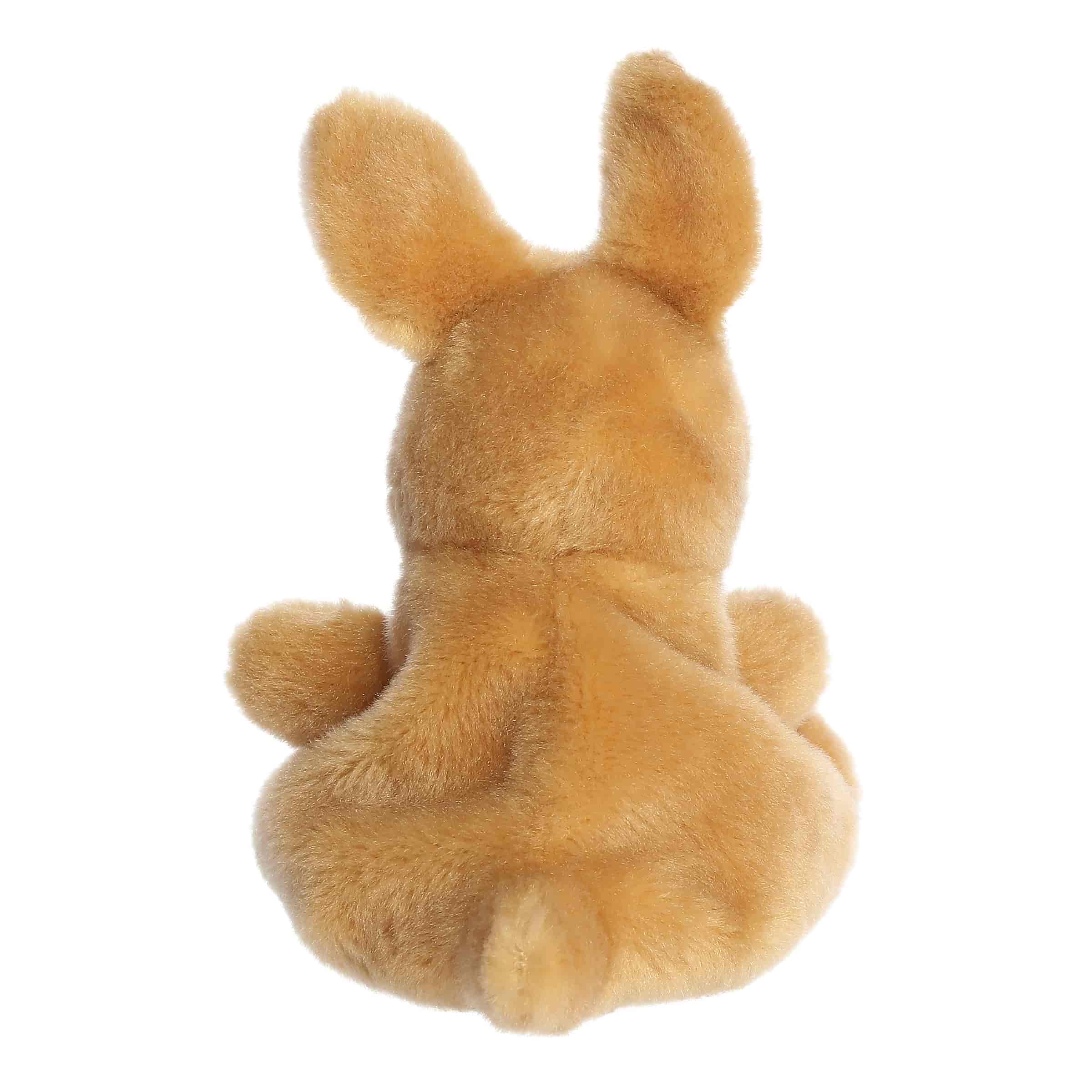 Palm Pals | Adelaide Kangaroo